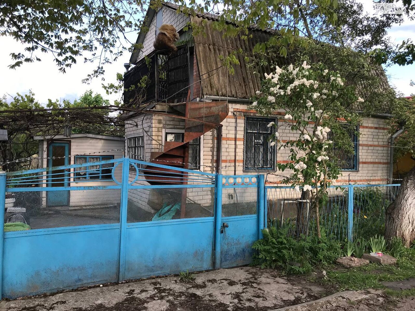 двухэтажный дом беседка, 60 кв. м, кирпич. Продажа в Нетешине район Нетешин фото 1 двухэтажный дом беседка, 60 кв. м, кирпич. Продажа в Нетешине район Нетешин фото 1