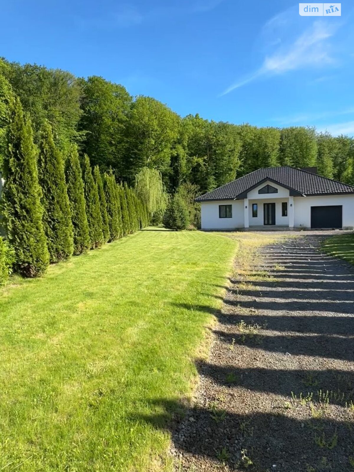 одноповерховий будинок з гаражем, 205 кв. м, цегла. Продаж у Нижньому Солотвині фото 1 одноповерховий будинок з гаражем, 205 кв. м, цегла. Продаж у Нижньому Солотвині фото 1