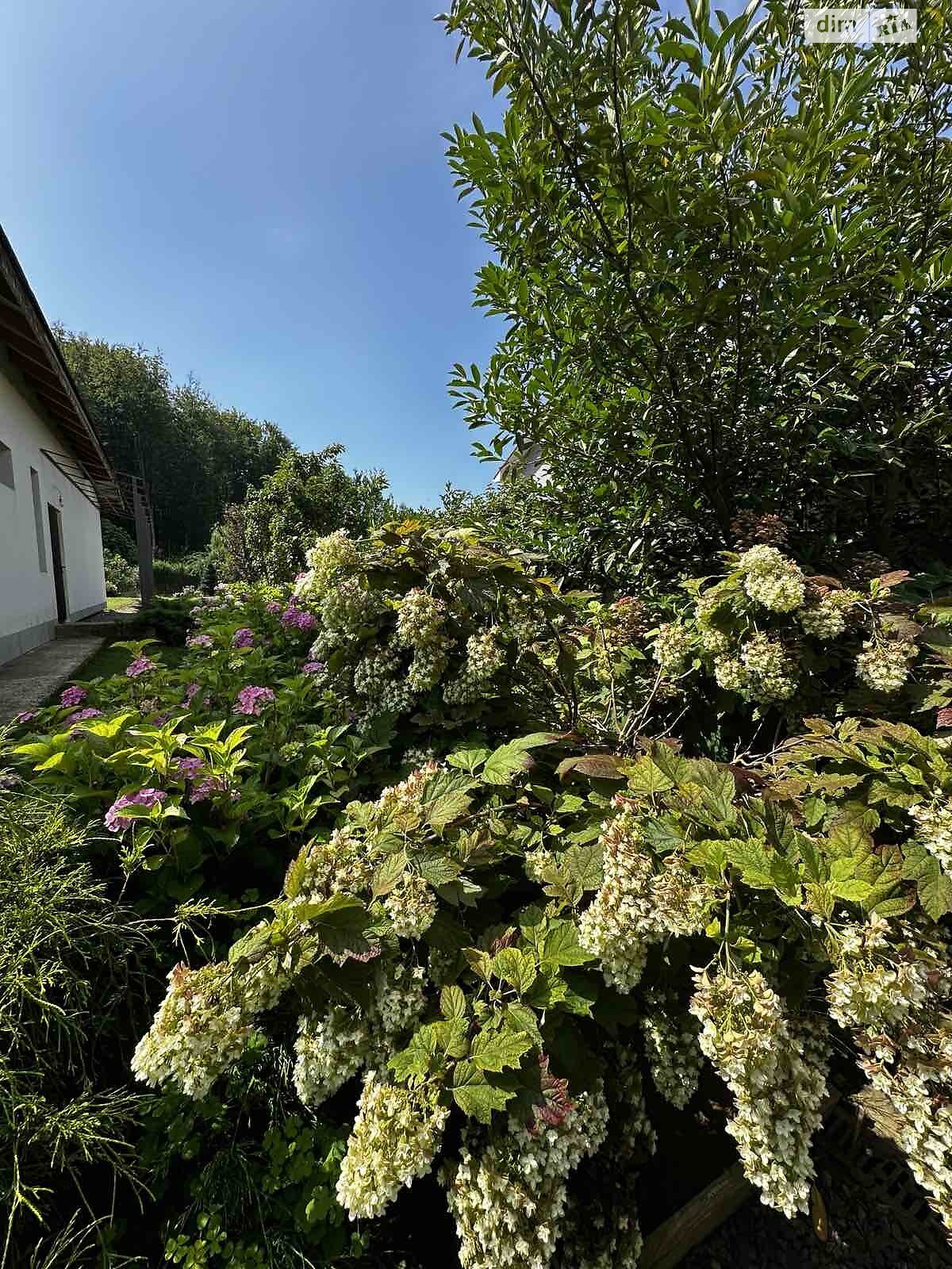 одноповерховий будинок з гаражем, 205 кв. м, цегла. Продаж у Нижньому Солотвині фото 1 одноповерховий будинок з гаражем, 205 кв. м, цегла. Продаж у Нижньому Солотвині фото 1