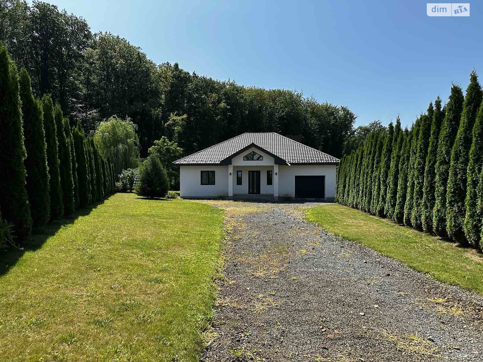 одноповерховий будинок з гаражем, 205 кв. м, цегла. Продаж у Нижньому Солотвині фото 1 одноповерховий будинок з гаражем, 205 кв. м, цегла. Продаж у Нижньому Солотвині фото 1