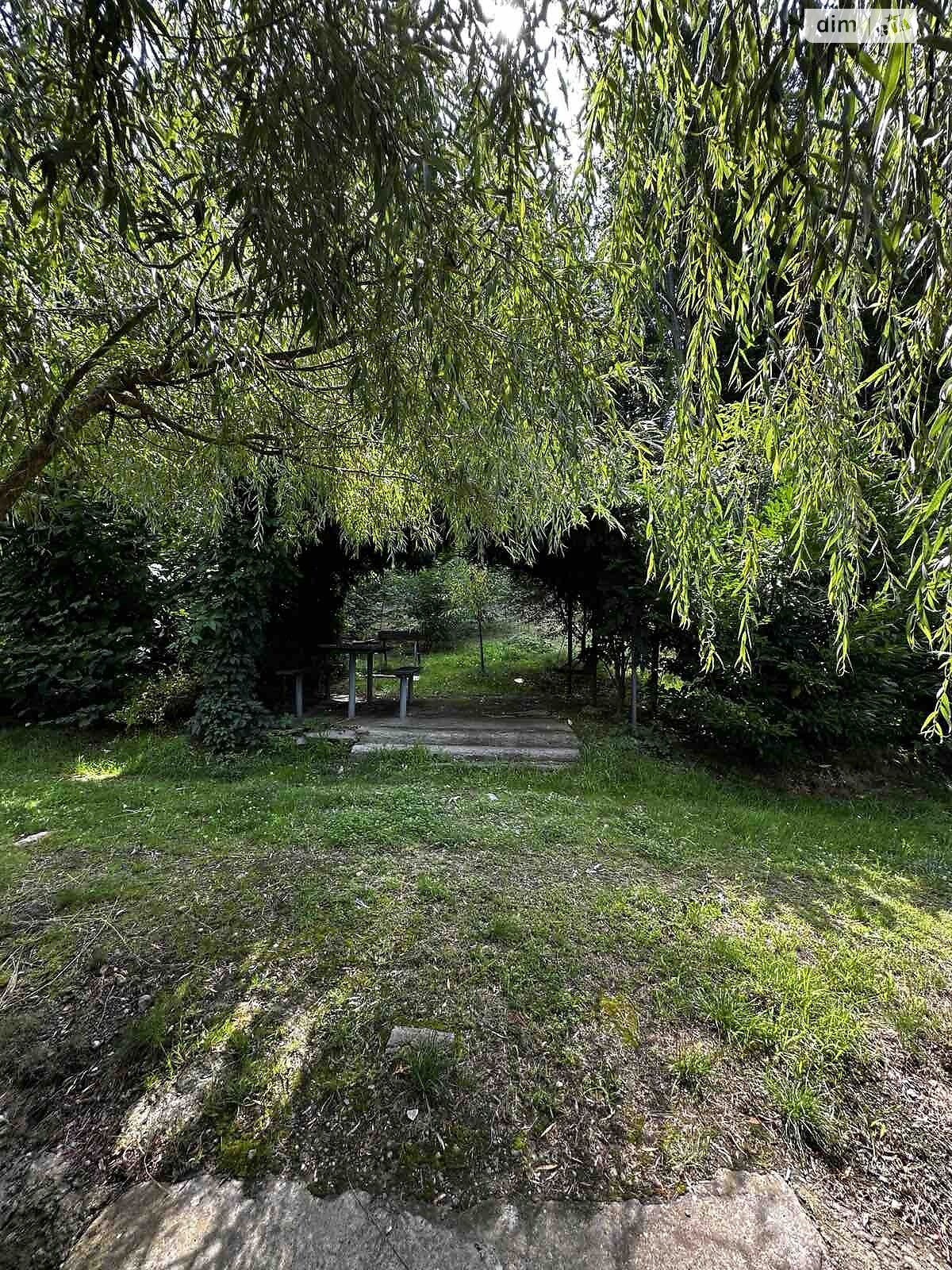 одноповерховий будинок з гаражем, 205 кв. м, цегла. Продаж у Нижньому Солотвині фото 1 одноповерховий будинок з гаражем, 205 кв. м, цегла. Продаж у Нижньому Солотвині фото 1