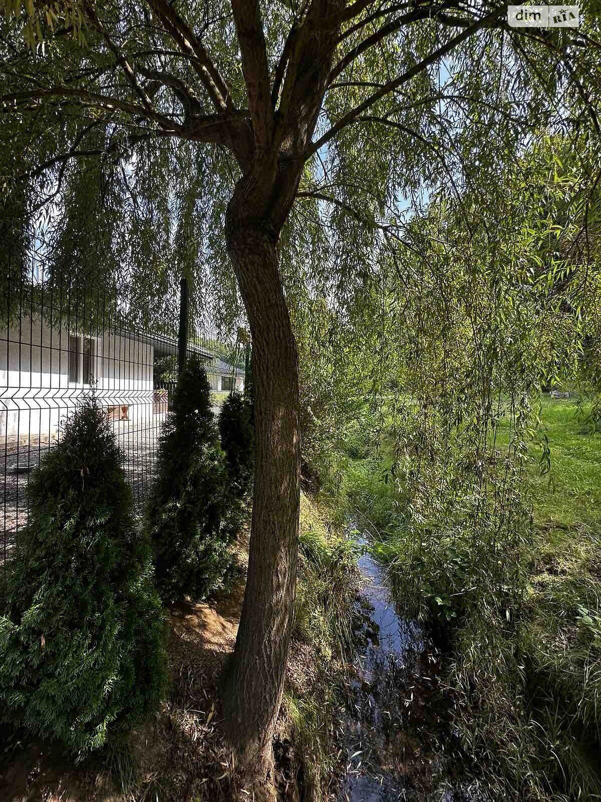 одноповерховий будинок з гаражем, 205 кв. м, цегла. Продаж у Нижньому Солотвині фото 1 одноповерховий будинок з гаражем, 205 кв. м, цегла. Продаж у Нижньому Солотвині фото 1