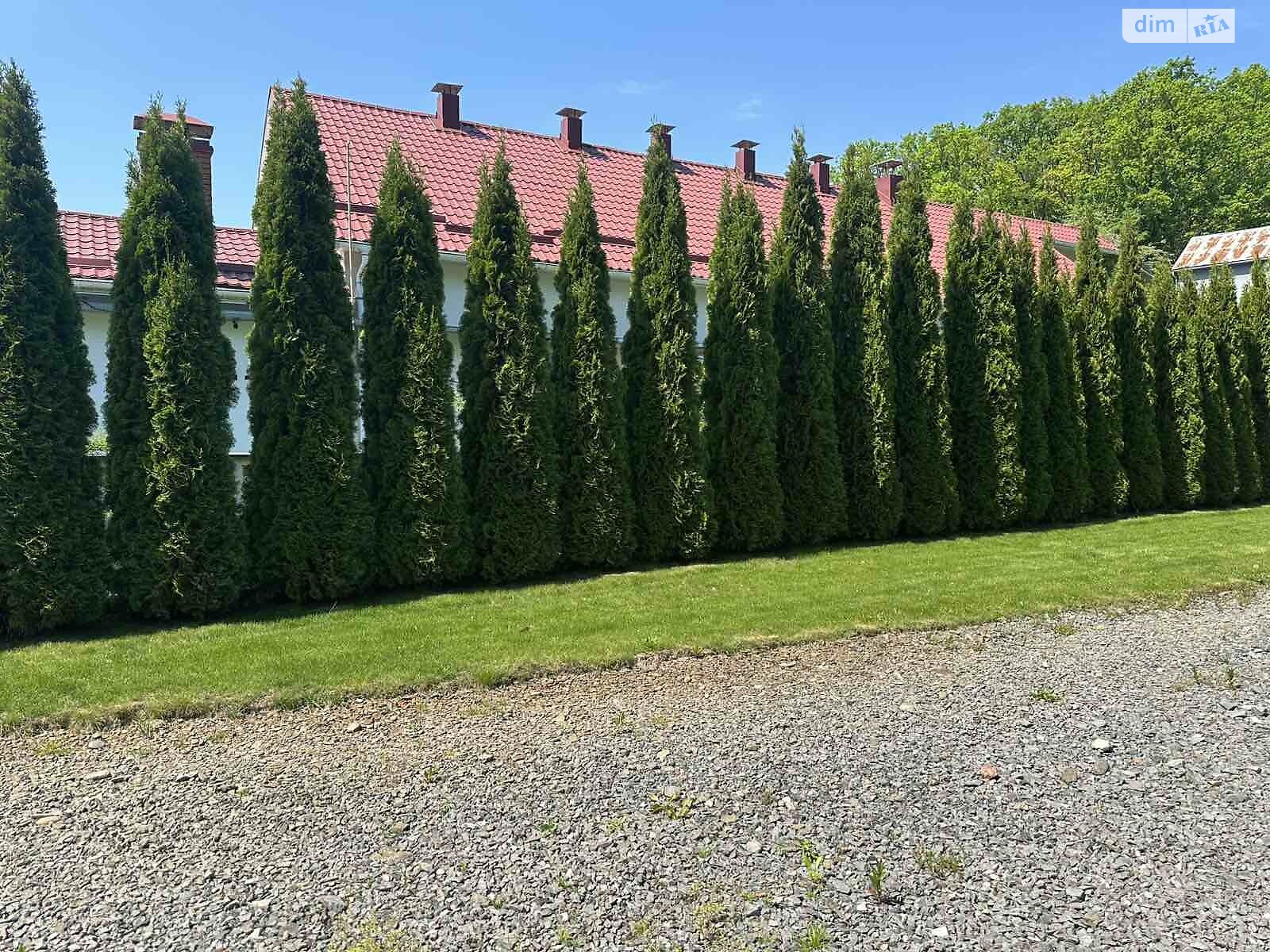 одноповерховий будинок з верандою, 208.6 кв. м, цегла. Продаж у Нижньому Солотвині фото 1 одноповерховий будинок з верандою, 208.6 кв. м, цегла. Продаж у Нижньому Солотвині фото 1