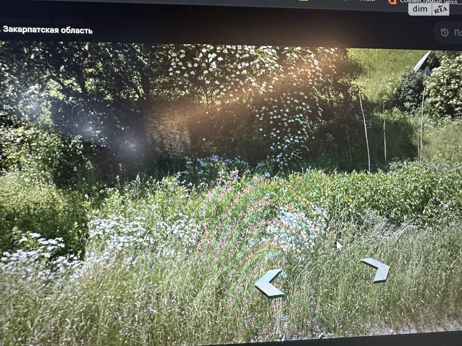 одноэтажный дом, 250 кв. м, кирпич. Продажа в Нижнем Бистрии фото 1