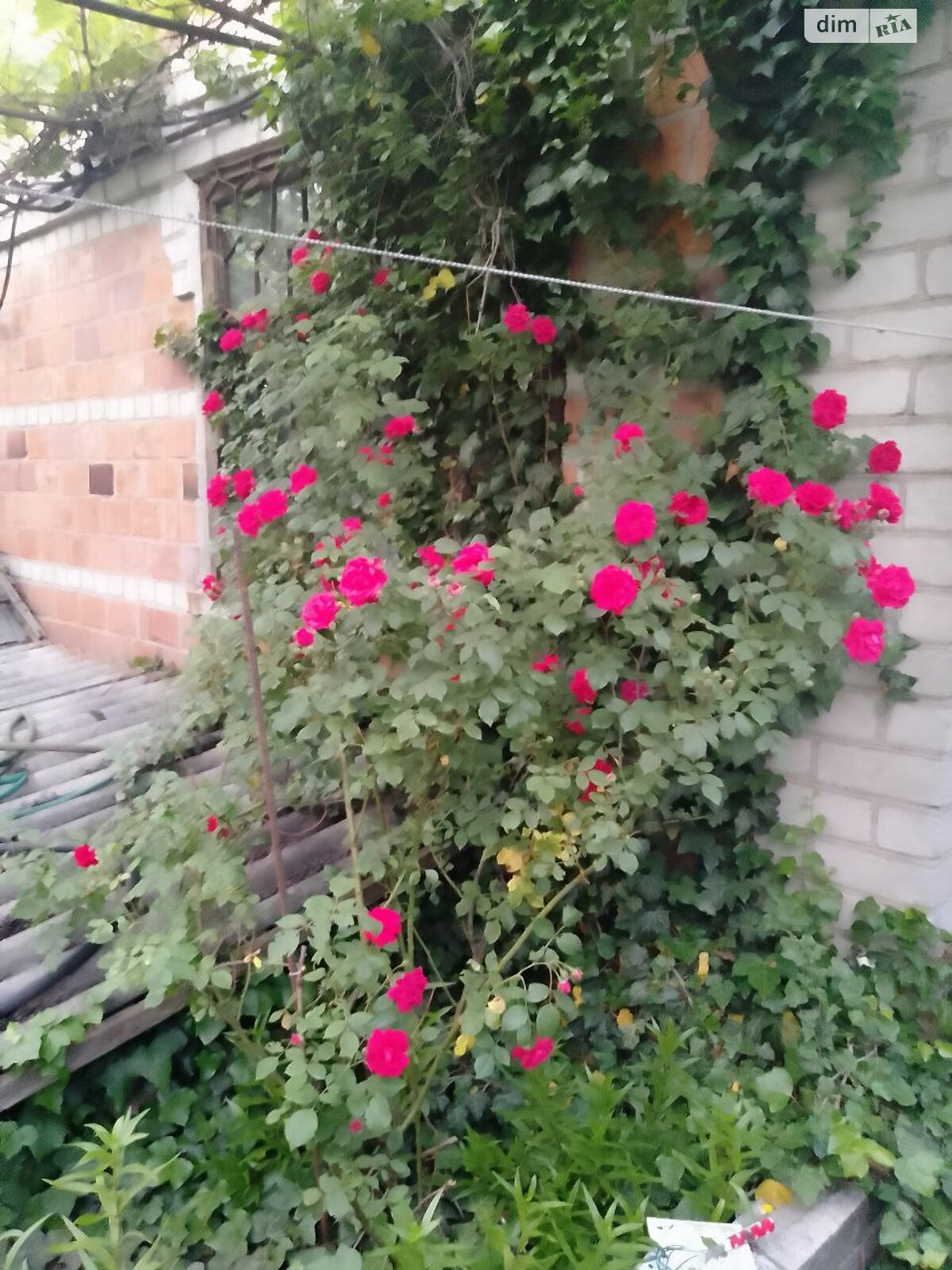 двоповерховий будинок бесідка, 32 кв. м, кирпич. Продаж у Нижній Хортиці фото 1