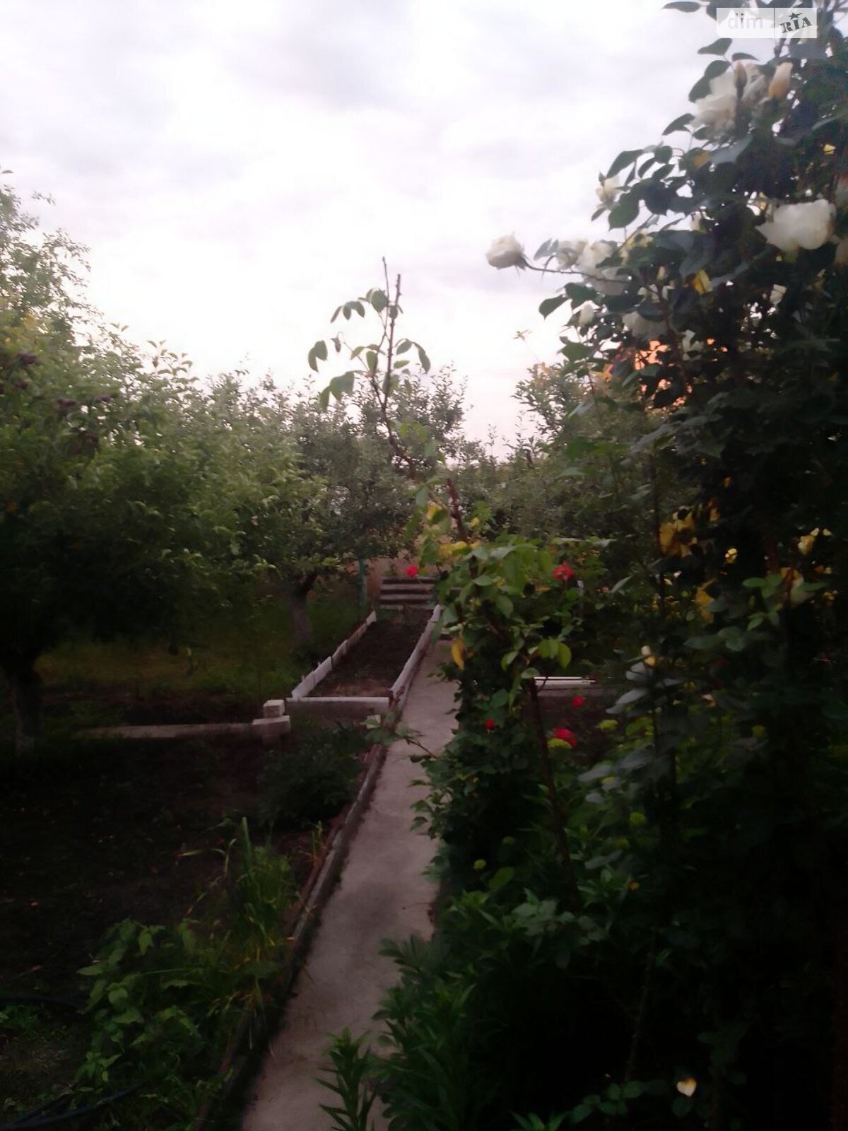 двоповерховий будинок бесідка, 32 кв. м, кирпич. Продаж у Нижній Хортиці фото 1