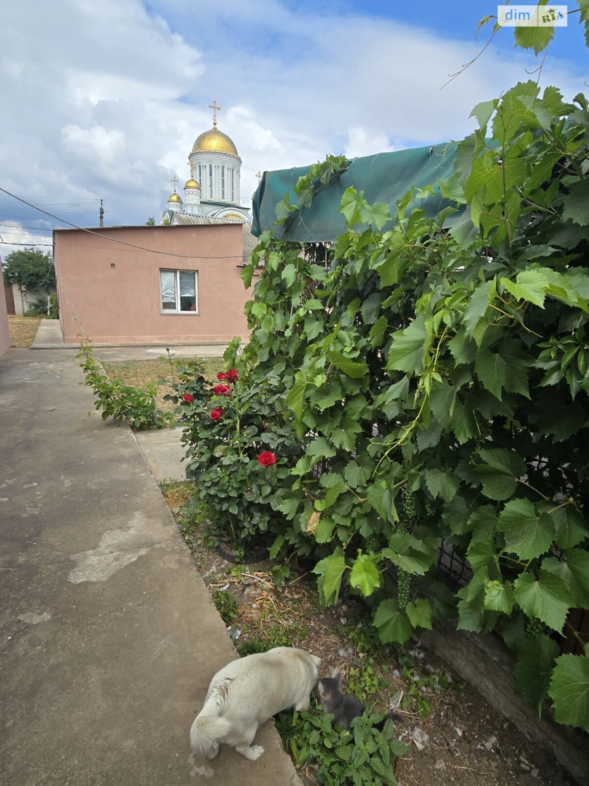 одноэтажный дом с гаражом, 103.8 кв. м, бутовый камень. Продажа в Николаеве район Балабановка фото 1 одноэтажный дом с гаражом, 103.8 кв. м, бутовый камень. Продажа в Николаеве район Балабановка фото 1