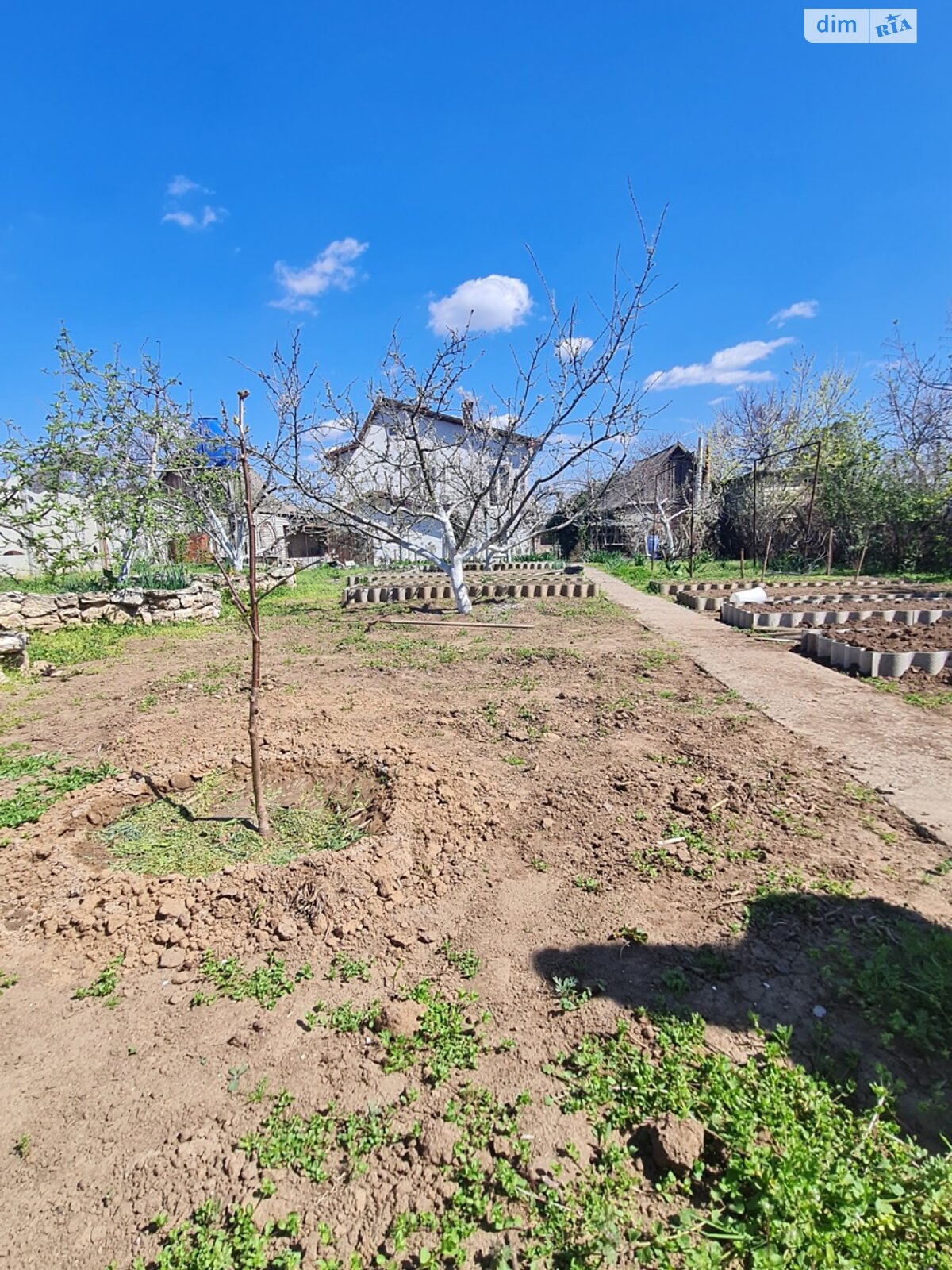 двухэтажный дом с отоплением, 217.3 кв. м, ракушечник (ракушняк). Продажа в Николаеве район Варваровка фото 1