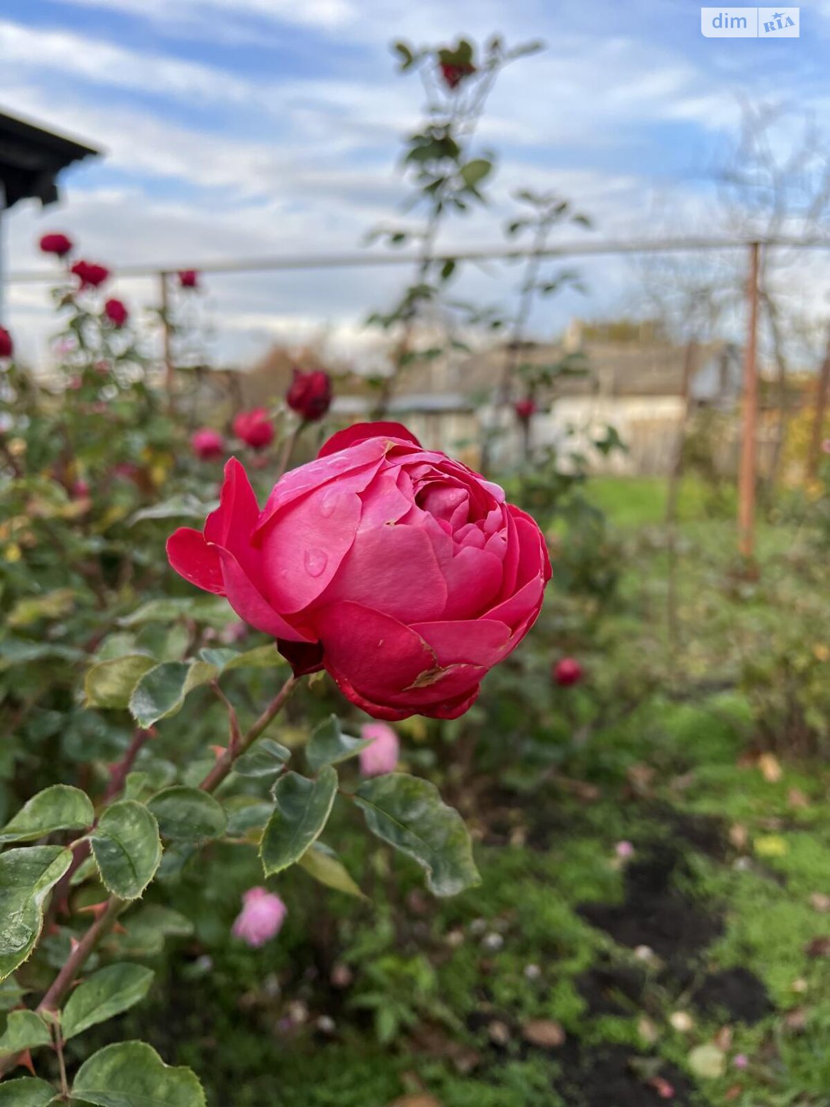 одноповерховий будинок, 88.4 кв. м, кирпич. Продаж в Миколаєві, район Інгульський фото 1 одноповерховий будинок, 88.4 кв. м, кирпич. Продаж в Миколаєві, район Інгульський фото 1