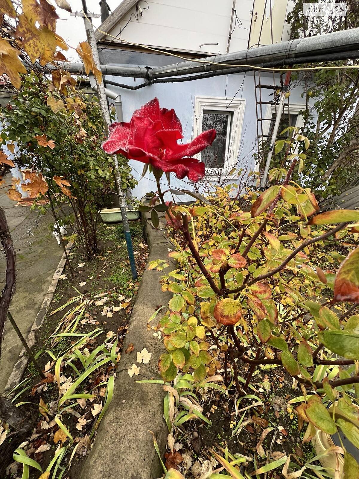 одноэтажный дом с гаражом, 55.4 кв. м, ракушечник (ракушняк). Продажа в Николаеве район Корабельный фото 1