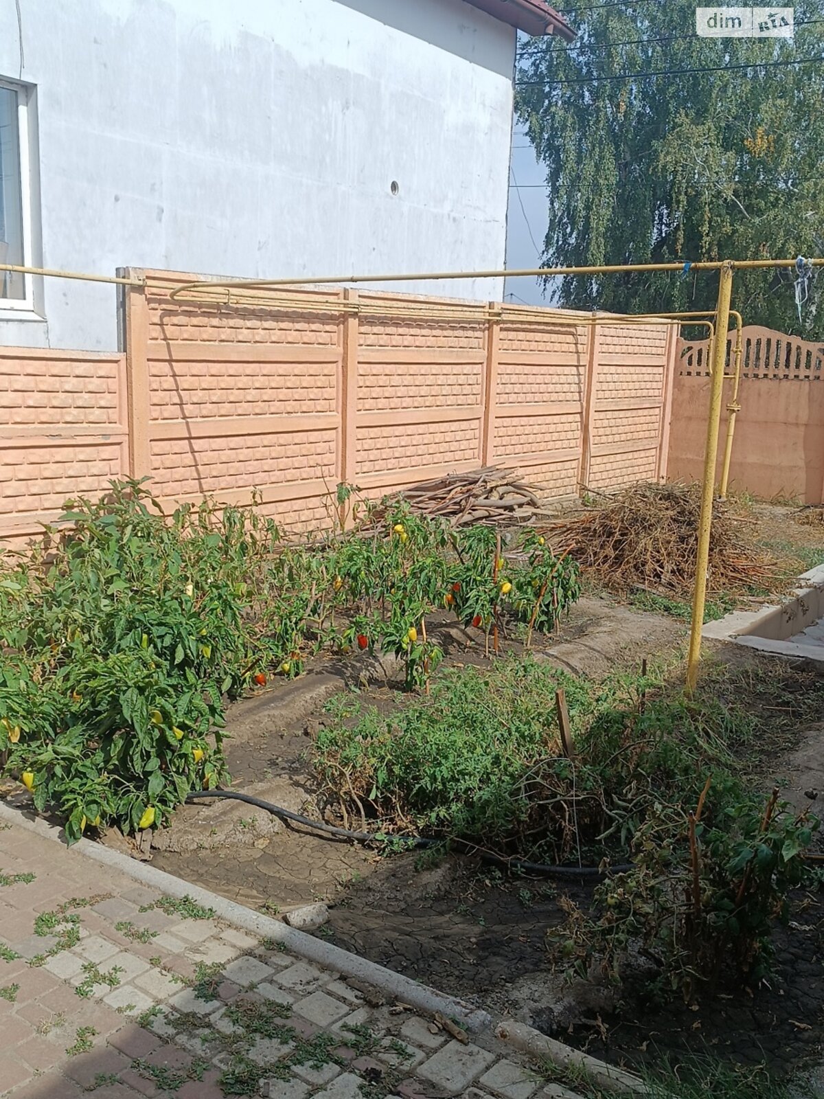 одноэтажный дом, 100 кв. м, газобетон. Продажа в Николаеве район Корабельный фото 1 одноэтажный дом, 100 кв. м, газобетон. Продажа в Николаеве район Корабельный фото 1