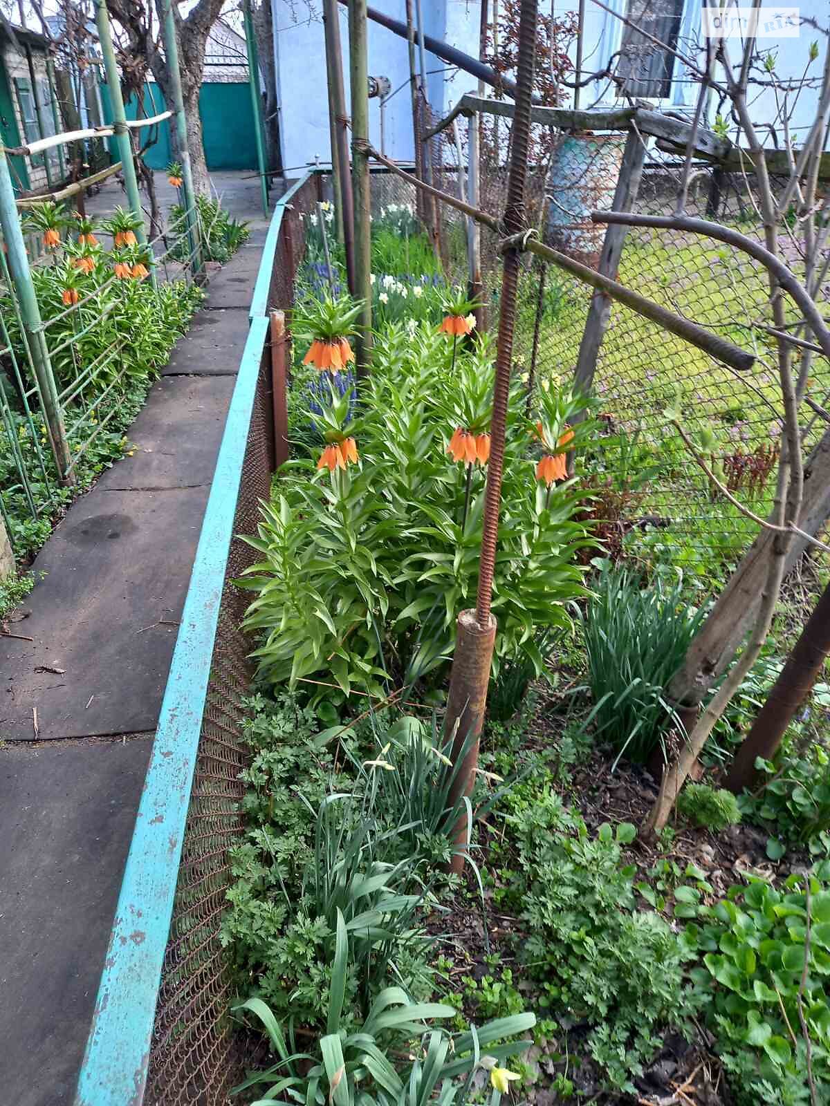 одноэтажный дом с верандой, 61 кв. м, ракушечник (ракушняк). Продажа в Николаеве район Корабельный фото 1 одноэтажный дом с верандой, 61 кв. м, ракушечник (ракушняк). Продажа в Николаеве район Корабельный фото 1