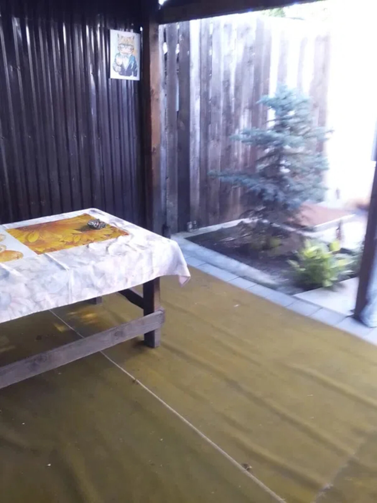 одноэтажный дом, 100 кв. м, газобетон. Продажа в Николаеве фото 1 одноэтажный дом, 100 кв. м, газобетон. Продажа в Николаеве фото 1