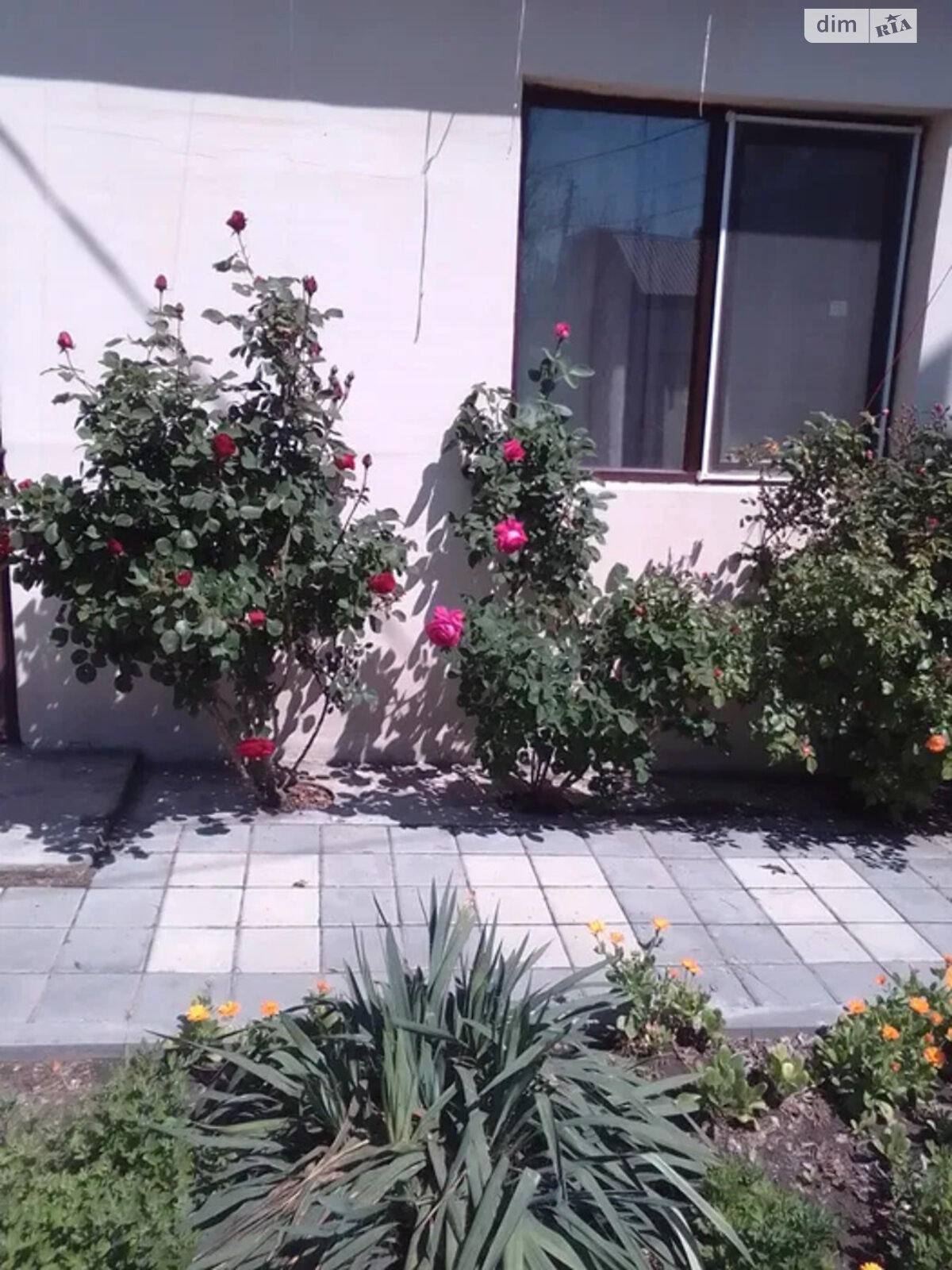 одноэтажный дом, 100 кв. м, газобетон. Продажа в Николаеве фото 1 одноэтажный дом, 100 кв. м, газобетон. Продажа в Николаеве фото 1