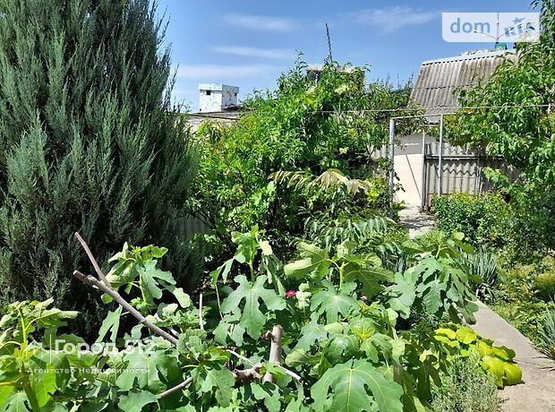 двухэтажный дом с садом, 200 кв. м, инкерманский камень. Продажа в Николаеве район Лески фото 1 двухэтажный дом с садом, 200 кв. м, инкерманский камень. Продажа в Николаеве район Лески фото 1
