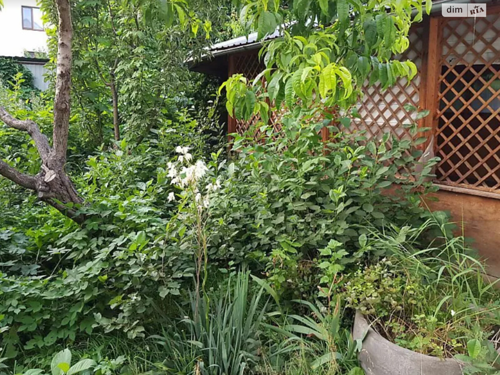 трехэтажный дом с верандой, 408.2 кв. м, керамзитобетон. Продажа в Николаеве район Ракетное Урочище фото 1 трехэтажный дом с верандой, 408.2 кв. м, керамзитобетон. Продажа в Николаеве район Ракетное Урочище фото 1