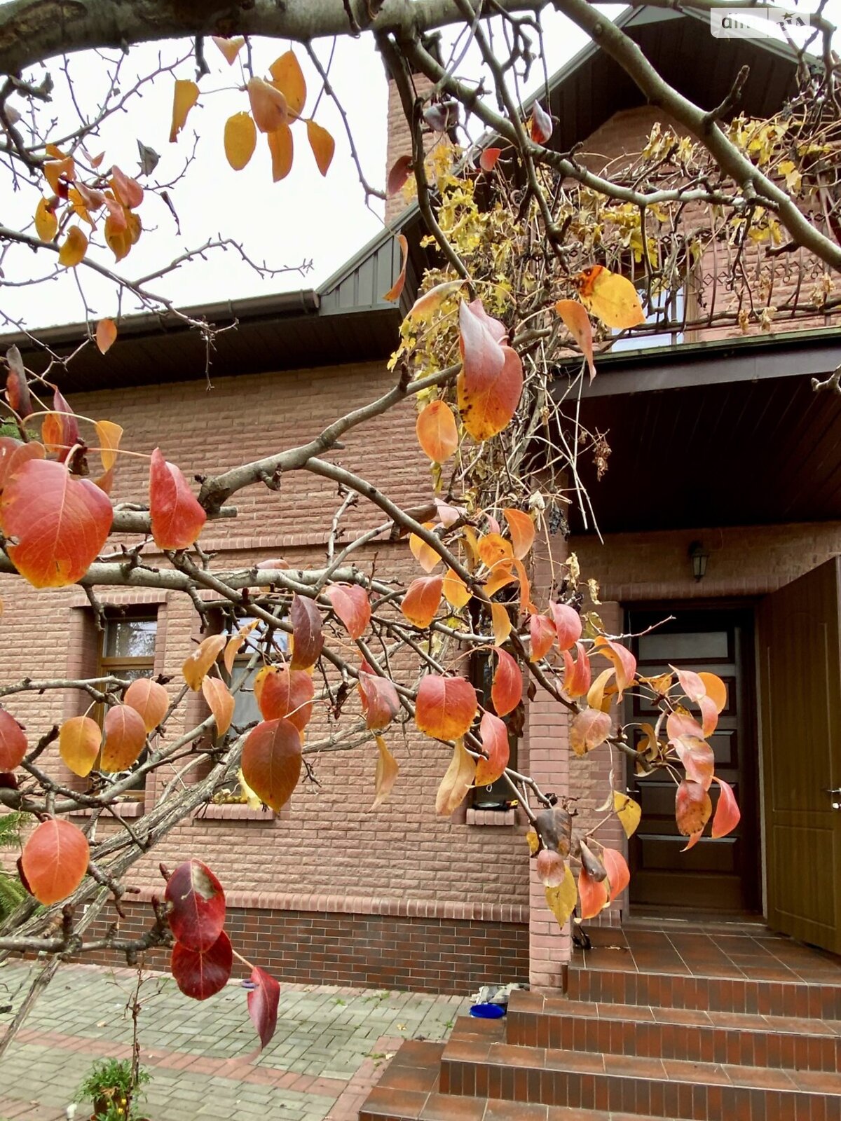 двоповерховий будинок з гаражем, 298.9 кв. м, ракушняк. Продаж в Миколаєві, район Ракетне Урочище фото 1