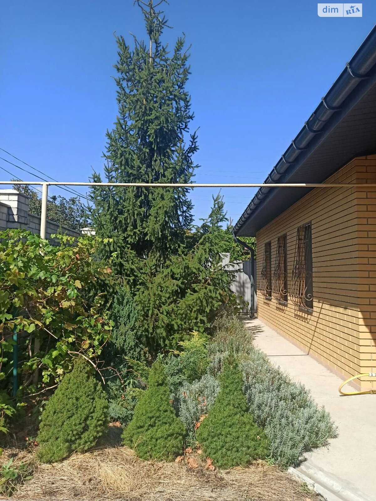 двухэтажный дом веранда, 205 кв. м, ракушечник (ракушняк). Продажа в Николаеве район Соляные фото 1