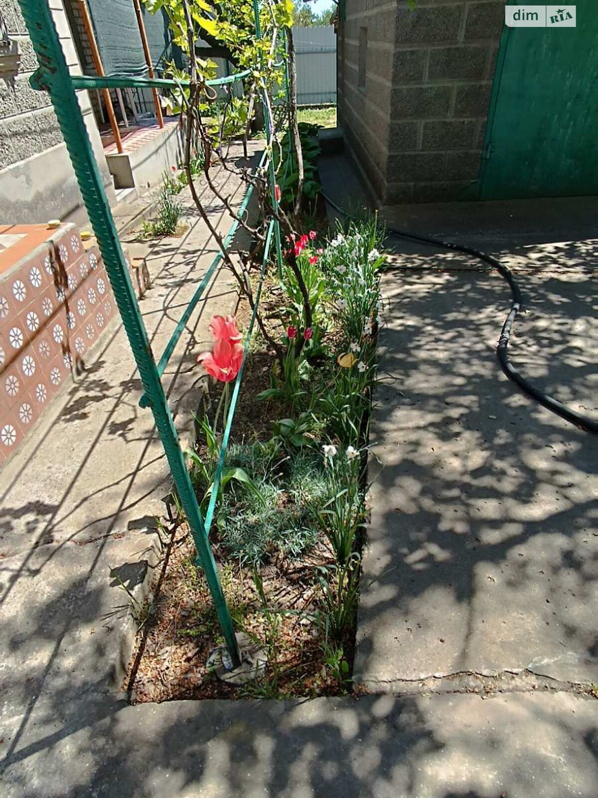 одноповерховий будинок з гаражем, 93 кв. м, кирпич. Продаж в Миколаєві, район Терновка фото 1 одноповерховий будинок з гаражем, 93 кв. м, кирпич. Продаж в Миколаєві, район Терновка фото 1
