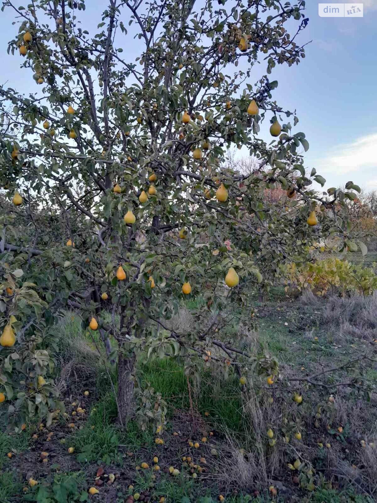 одноэтажный дом, 120 кв. м, кирпич. Продажа в Николаеве район Центр фото 1