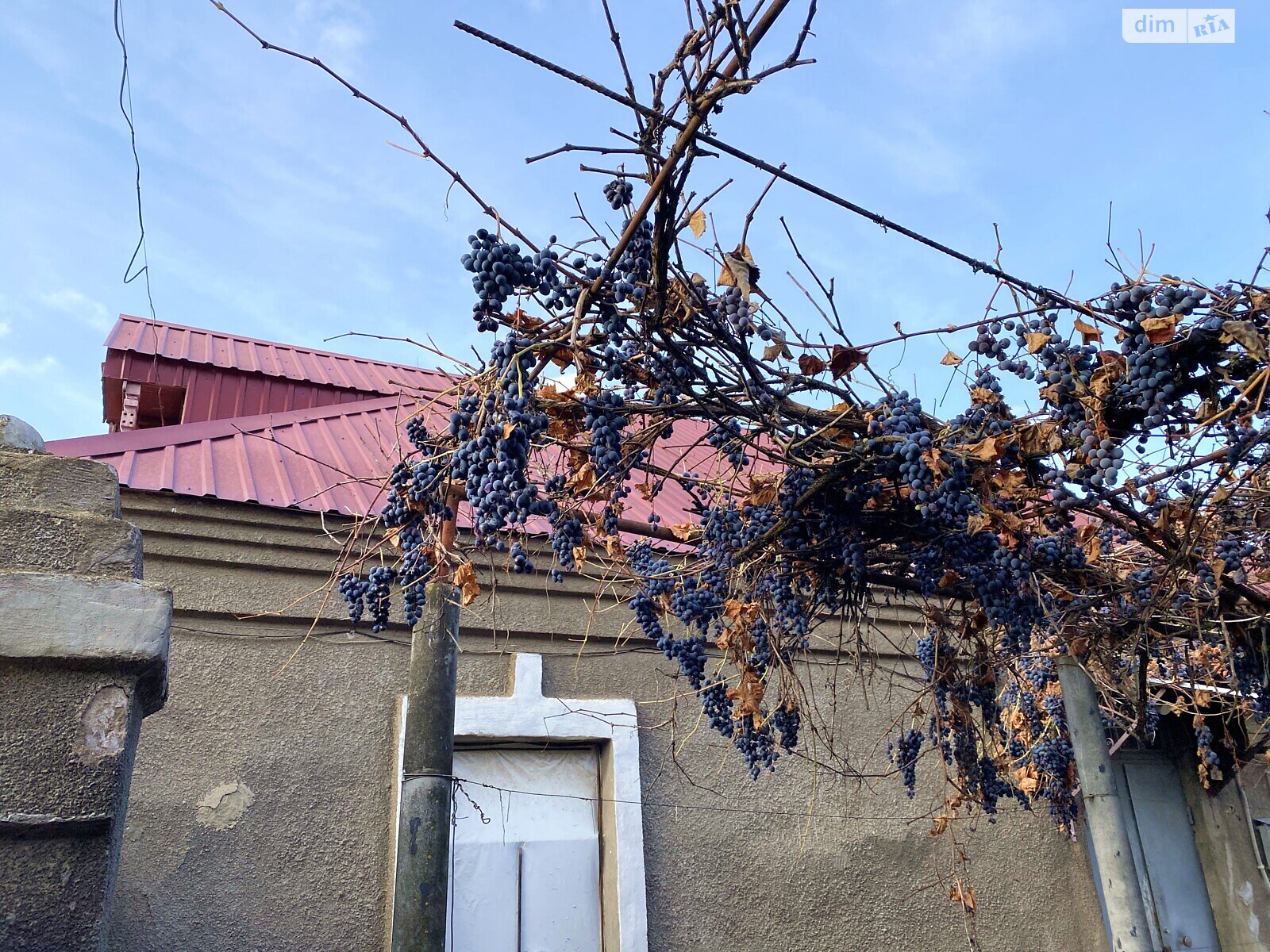 одноповерховий будинок з гаражем, 70.2 кв. м, ракушняк. Продаж в Миколаєві, район Центральний фото 1 одноповерховий будинок з гаражем, 70.2 кв. м, ракушняк. Продаж в Миколаєві, район Центральний фото 1