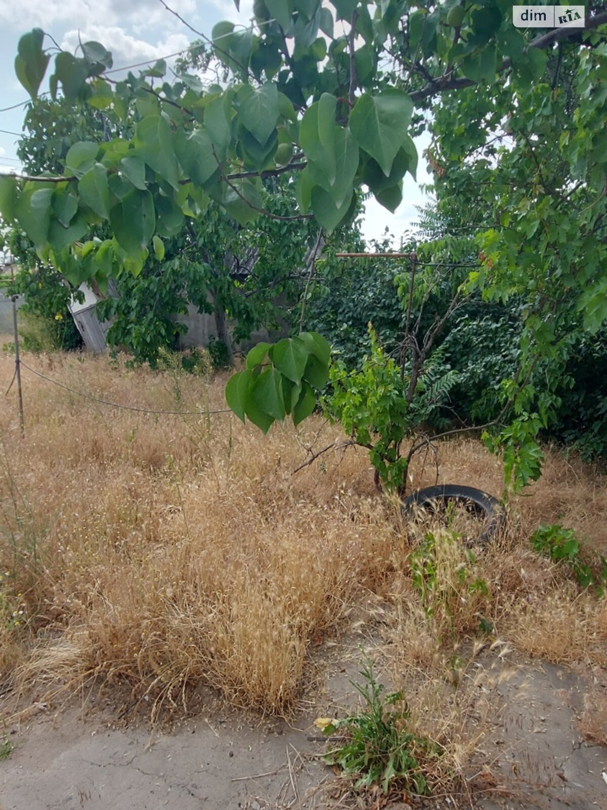 одноповерховий будинок з опаленням, 63 кв. м, ракушечник (ракушняк). Продаж в Миколаєві, район Заводський фото 1 одноповерховий будинок з опаленням, 63 кв. м, ракушечник (ракушняк). Продаж в Миколаєві, район Заводський фото 1