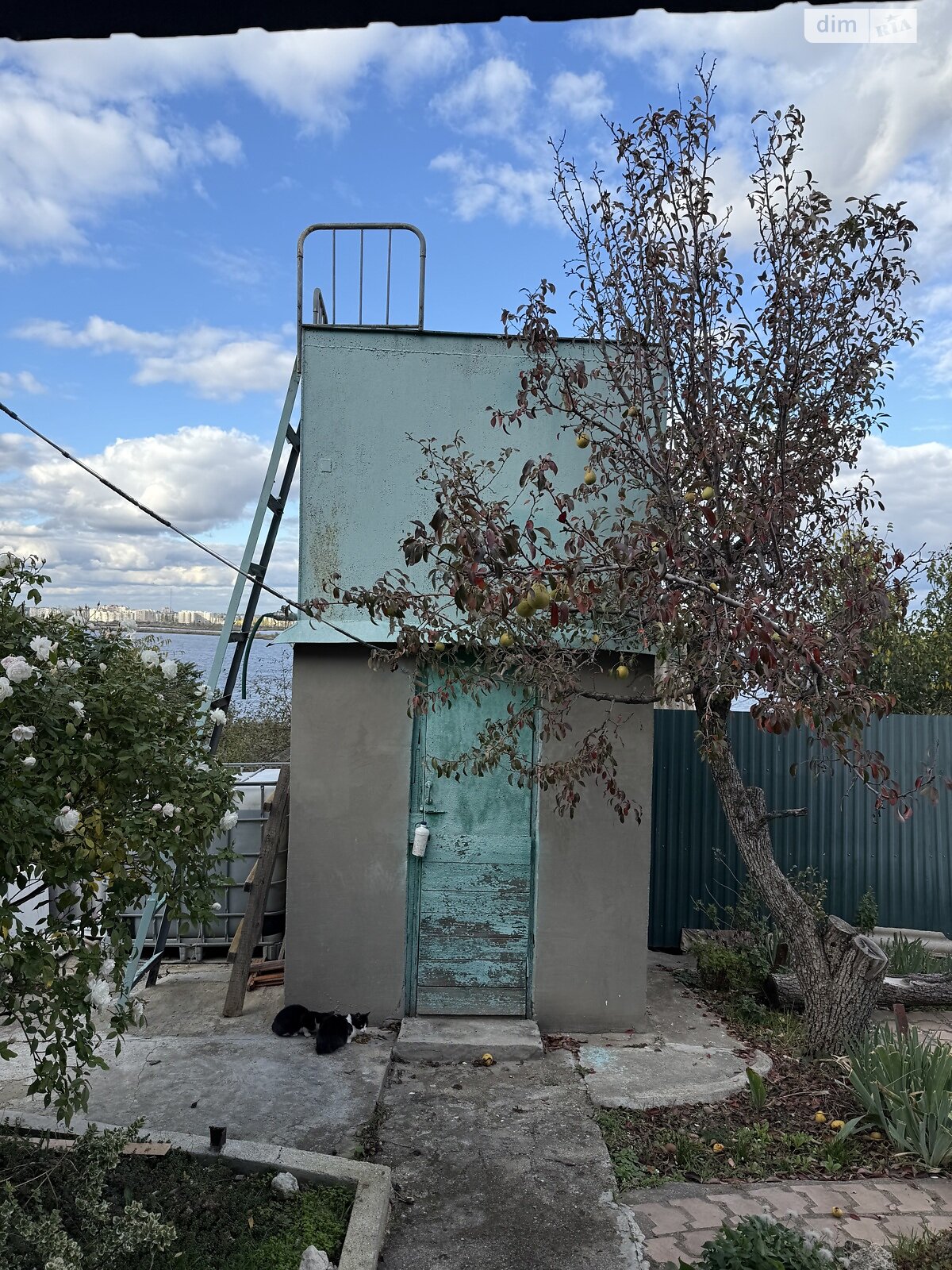 одноповерховий будинок з верандою, 35 кв. м, цегла. Продаж у Миколаєві фото 1