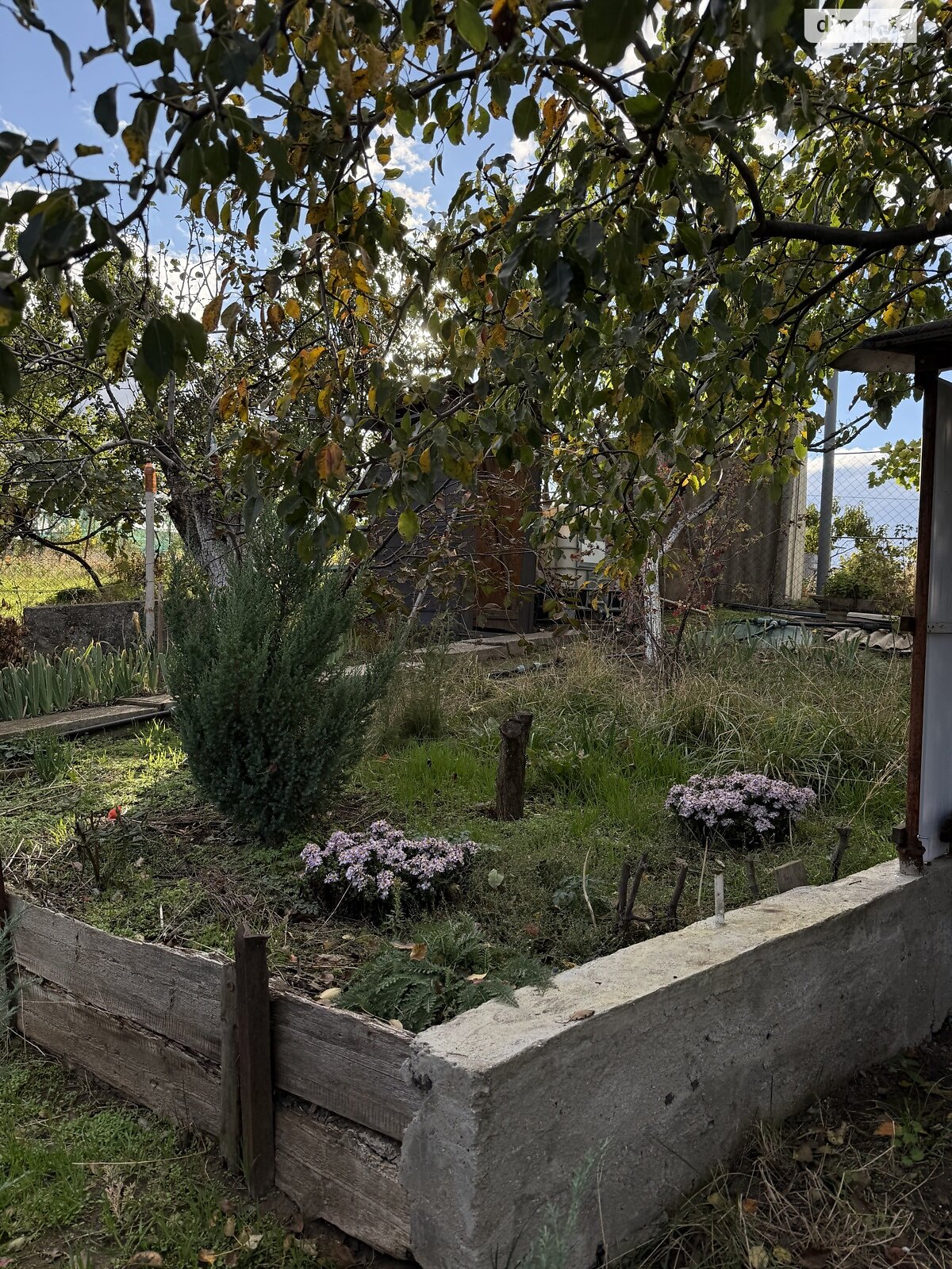 одноповерховий будинок з верандою, 35 кв. м, цегла. Продаж у Миколаєві фото 1