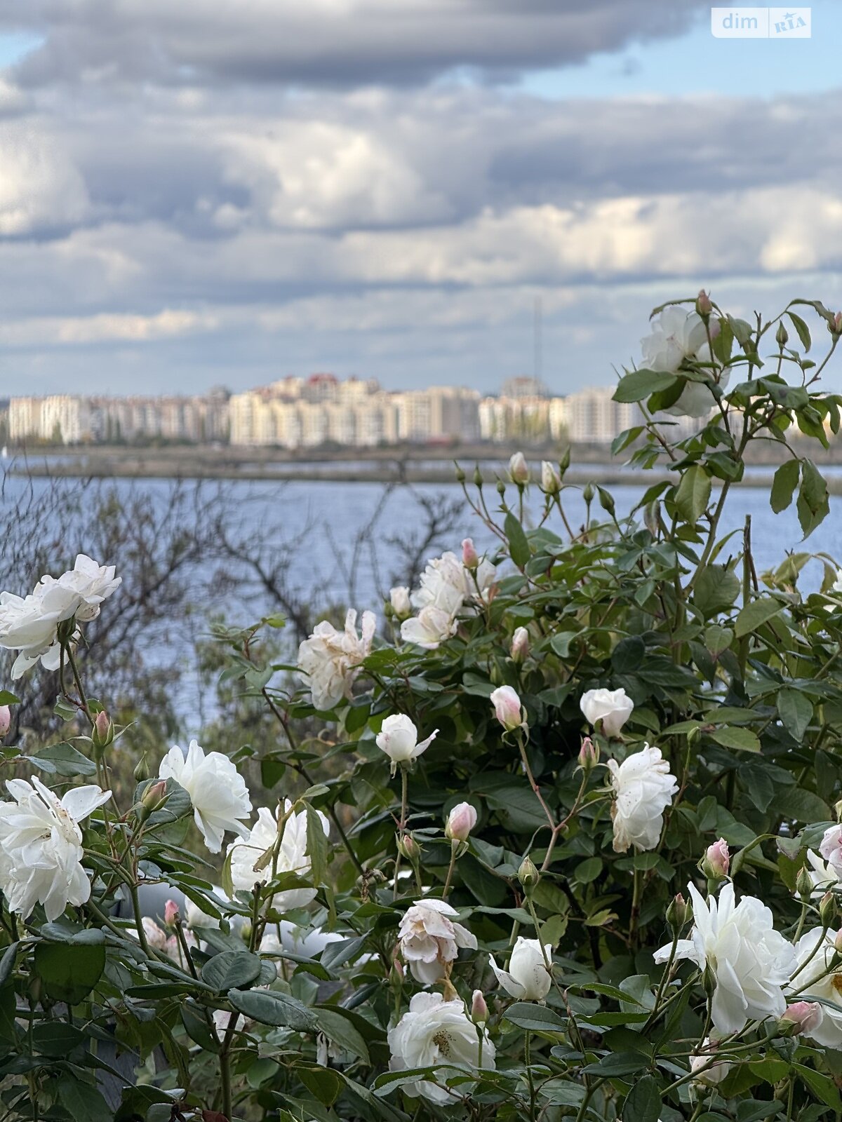 одноповерховий будинок з верандою, 35 кв. м, цегла. Продаж у Миколаєві фото 1