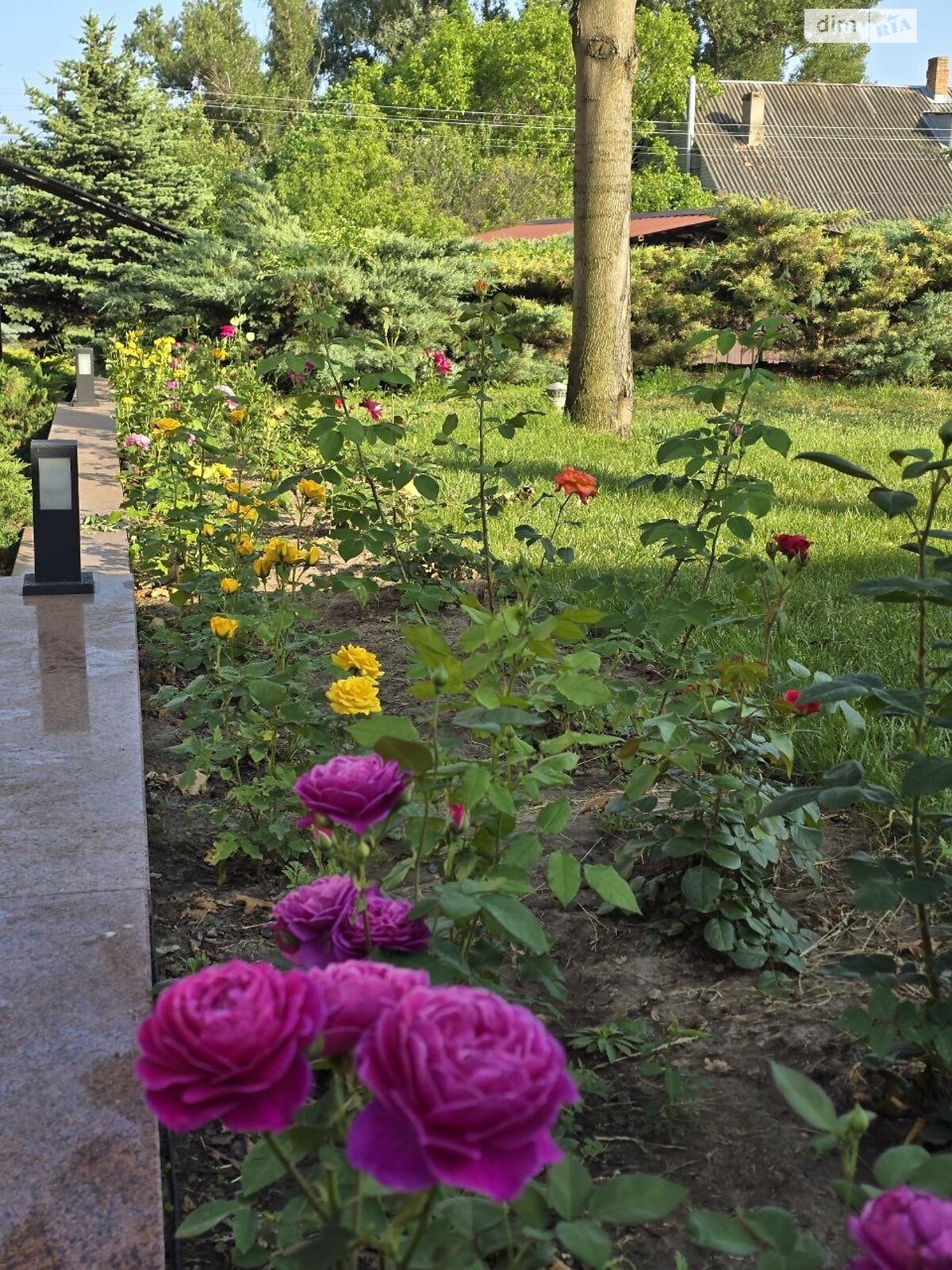 двоповерховий будинок з опаленням, 160 кв. м, керамічний блок. Продаж у Миколаївці фото 1