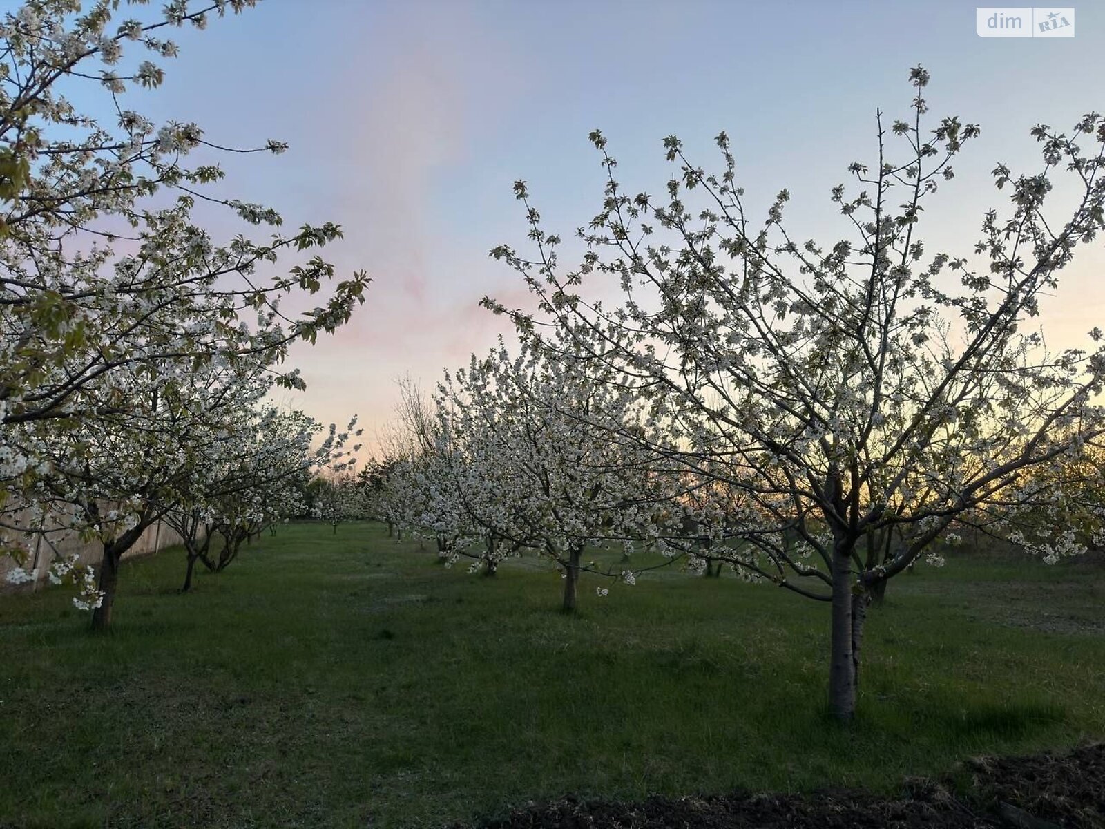 двоповерховий будинок з опаленням, 160 кв. м, керамічний блок. Продаж у Миколаївці фото 1