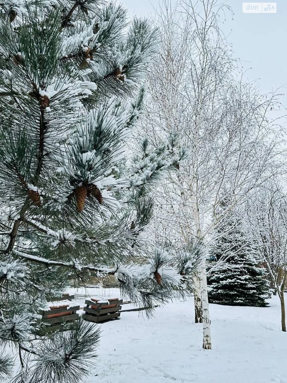 двоповерховий будинок з опаленням, 160 кв. м, керамічний блок. Продаж у Миколаївці фото 1
