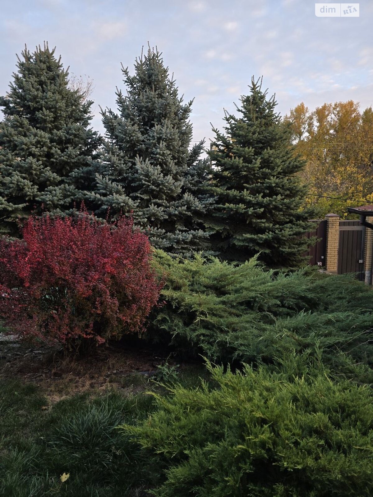 двоповерховий будинок з опаленням, 160 кв. м, керамічний блок. Продаж у Миколаївці фото 1