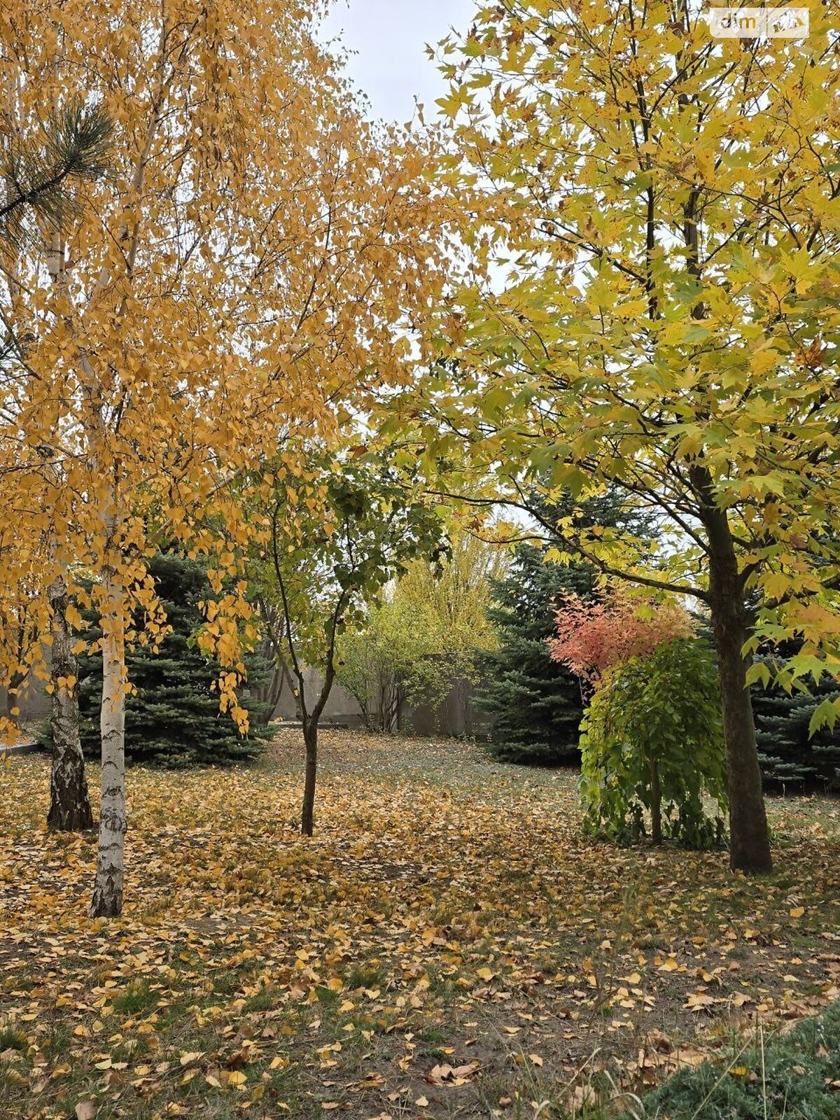 двоповерховий будинок з опаленням, 160 кв. м, керамічний блок. Продаж у Миколаївці фото 1