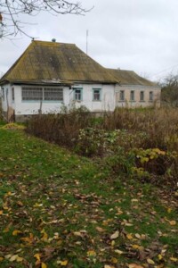 одноповерховий будинок з опаленням, 70 кв. м, кирпич. Продаж у Миколаївці фото 2