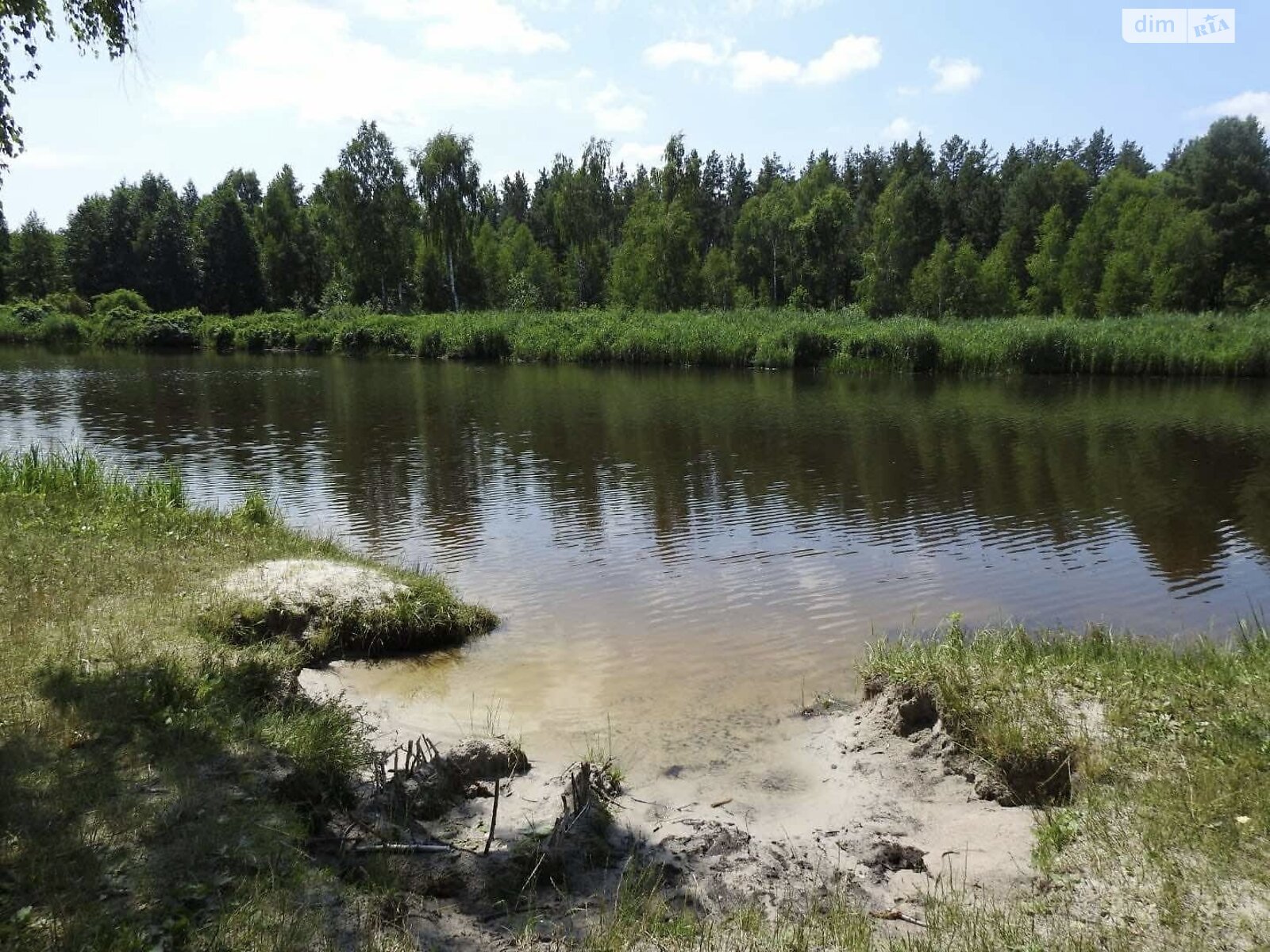 двоповерховий будинок з опаленням, 300 кв. м, цегла. Продаж у Миколаївці фото 1