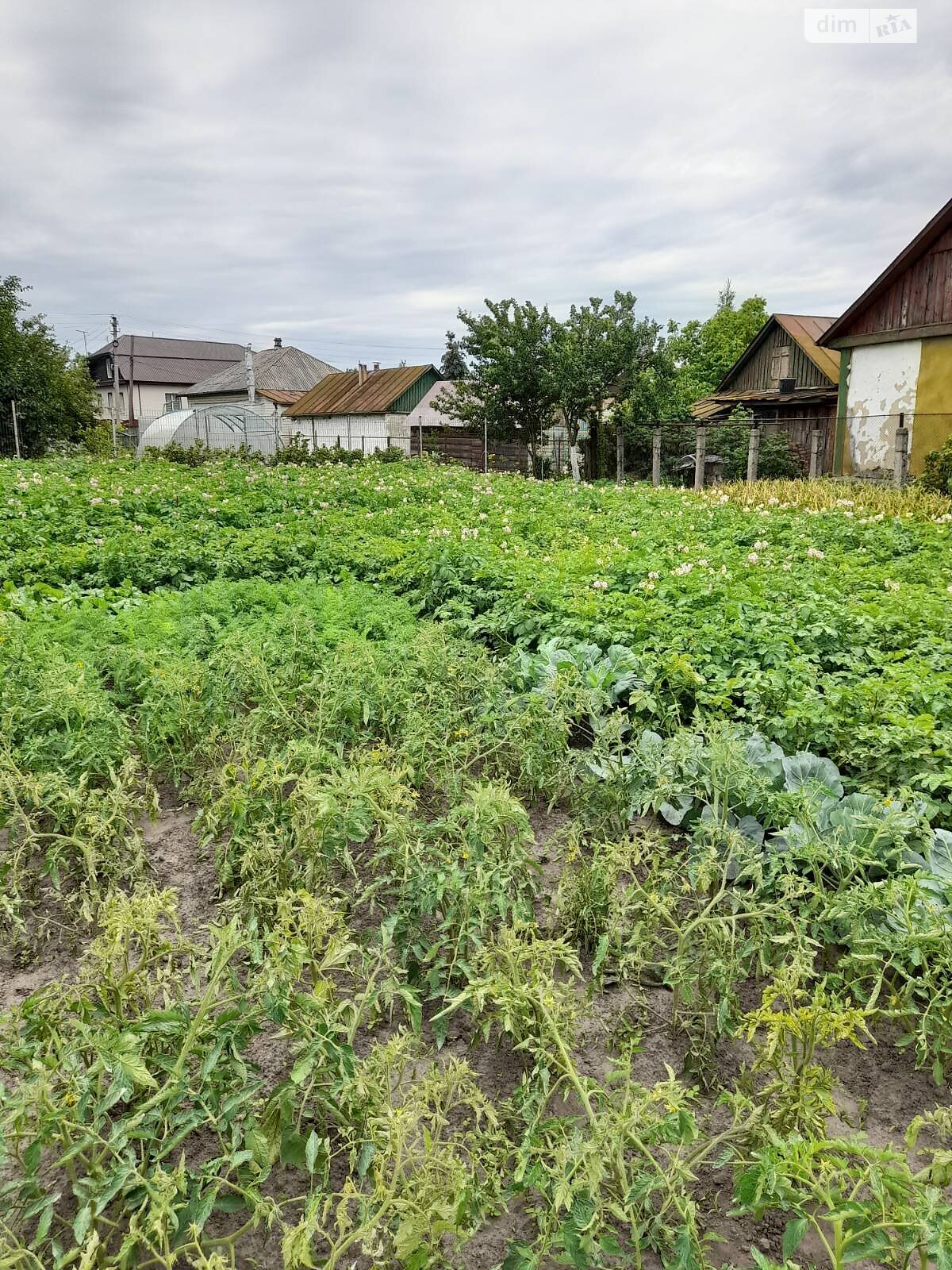 одноповерховий будинок з гаражем, 104.9 кв. м, брус. Продаж у Ножині фото 1