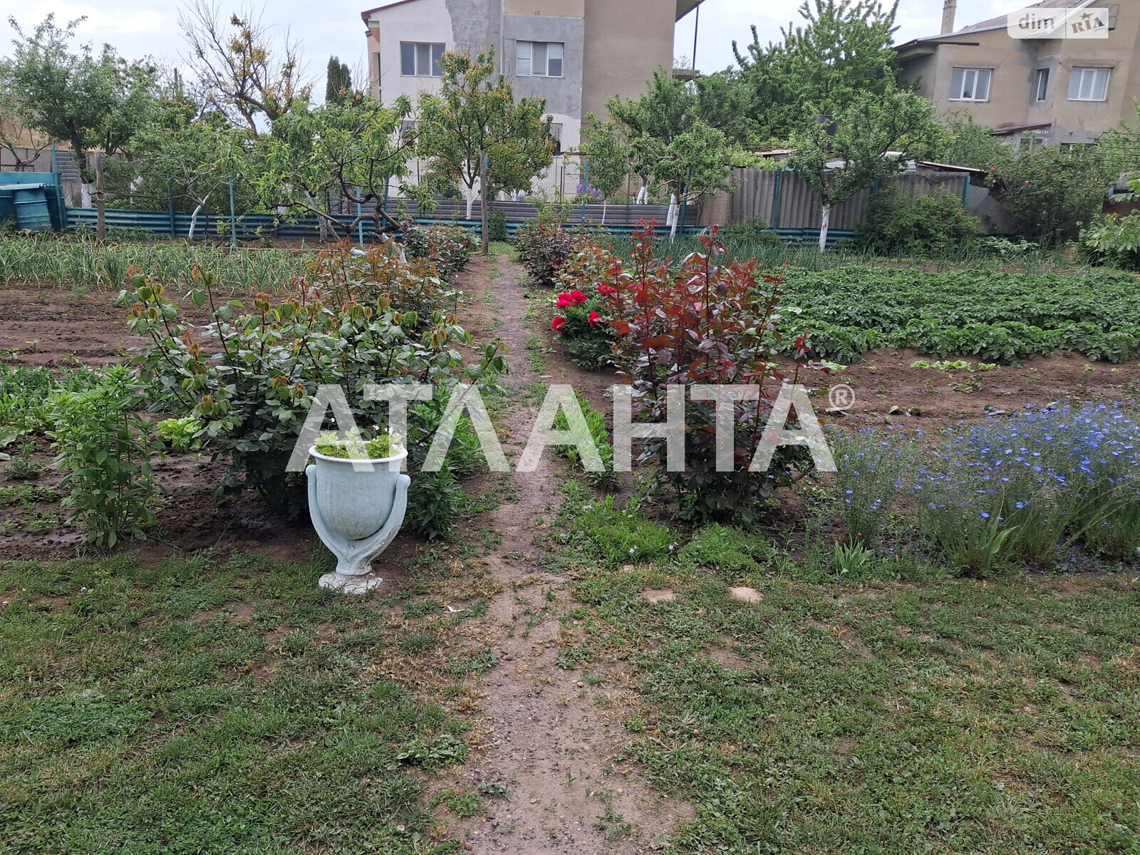 двухэтажный дом беседка, 185.2 кв. м, ракушечник (ракушняк). Продажа в Новой Дофиновке фото 1 двухэтажный дом беседка, 185.2 кв. м, ракушечник (ракушняк). Продажа в Новой Дофиновке фото 1
