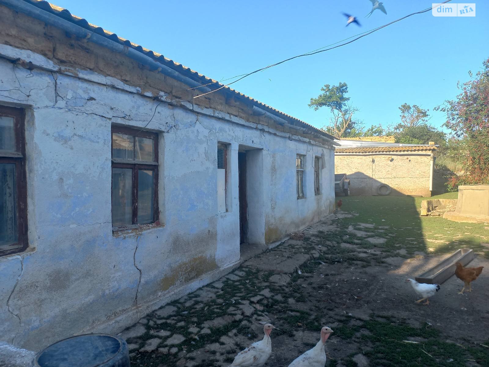 одноэтажный дом, 80 кв. м, ракушечник (ракушняк). Продажа в Новой Эметовке фото 1 одноэтажный дом, 80 кв. м, ракушечник (ракушняк). Продажа в Новой Эметовке фото 1