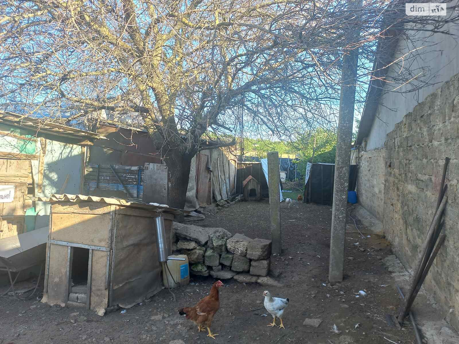 одноэтажный дом, 80 кв. м, ракушечник (ракушняк). Продажа в Новой Эметовке фото 1 одноэтажный дом, 80 кв. м, ракушечник (ракушняк). Продажа в Новой Эметовке фото 1