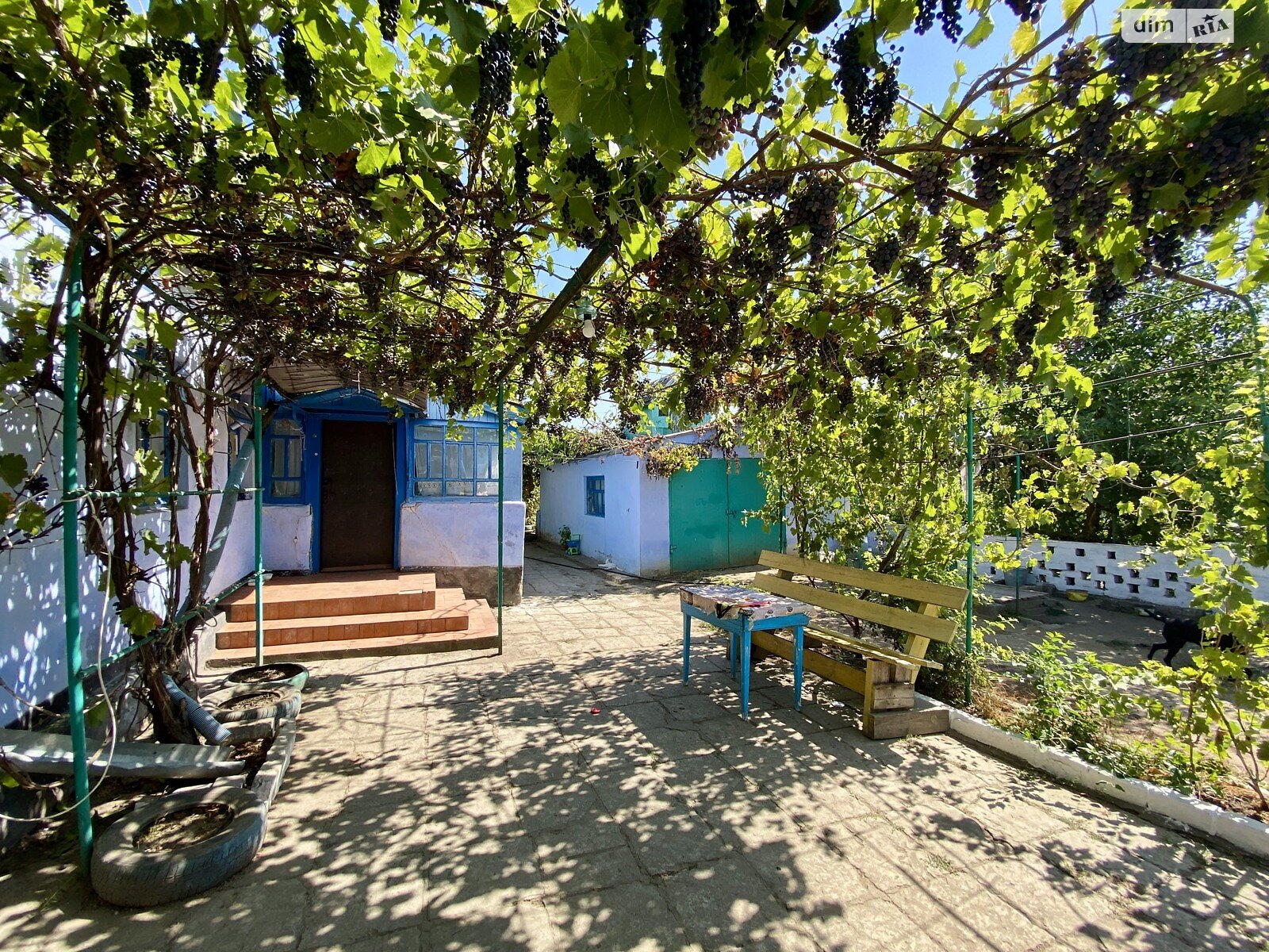одноэтажный дом с верандой, 80 кв. м, ракушечник (ракушняк). Продажа в НоваяОдессе район Новая Одесса фото 1 одноэтажный дом с верандой, 80 кв. м, ракушечник (ракушняк). Продажа в НоваяОдессе район Новая Одесса фото 1