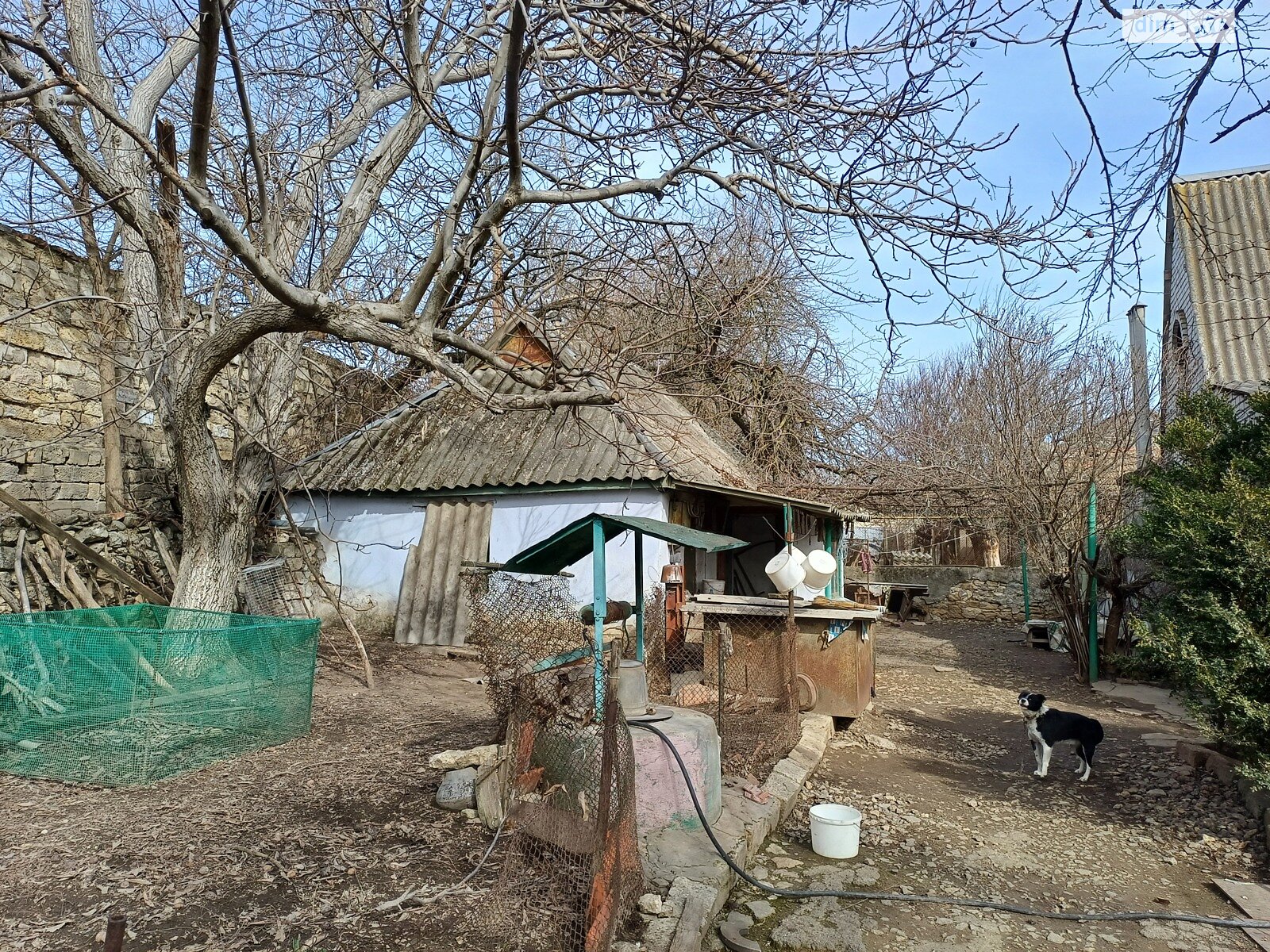 двоповерховий будинок, 106 кв. м, цегла. Продаж в Новій Одесі, район Нова Одеса фото 1 двоповерховий будинок, 106 кв. м, цегла. Продаж в Новій Одесі, район Нова Одеса фото 1