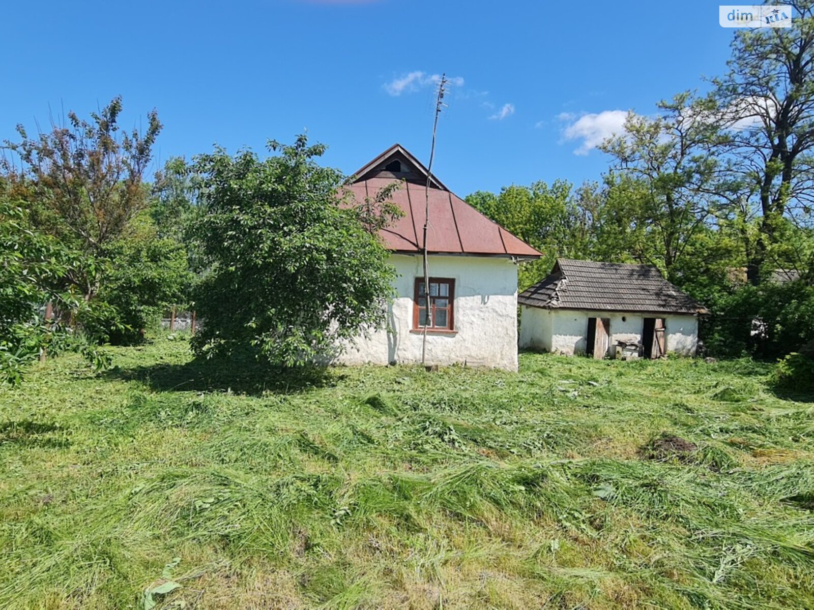 одноэтажный дом, 32 кв. м, глинобитный. Продажа в Новой Прилуке фото 1 одноэтажный дом, 32 кв. м, глинобитный. Продажа в Новой Прилуке фото 1