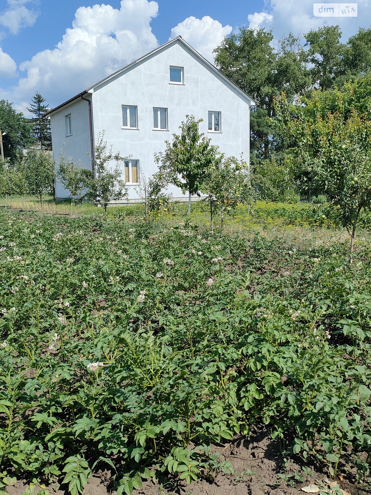 двоповерховий будинок з гаражем, 180 кв. м, шлакоблок. Продаж у Новій Прилуці фото 1