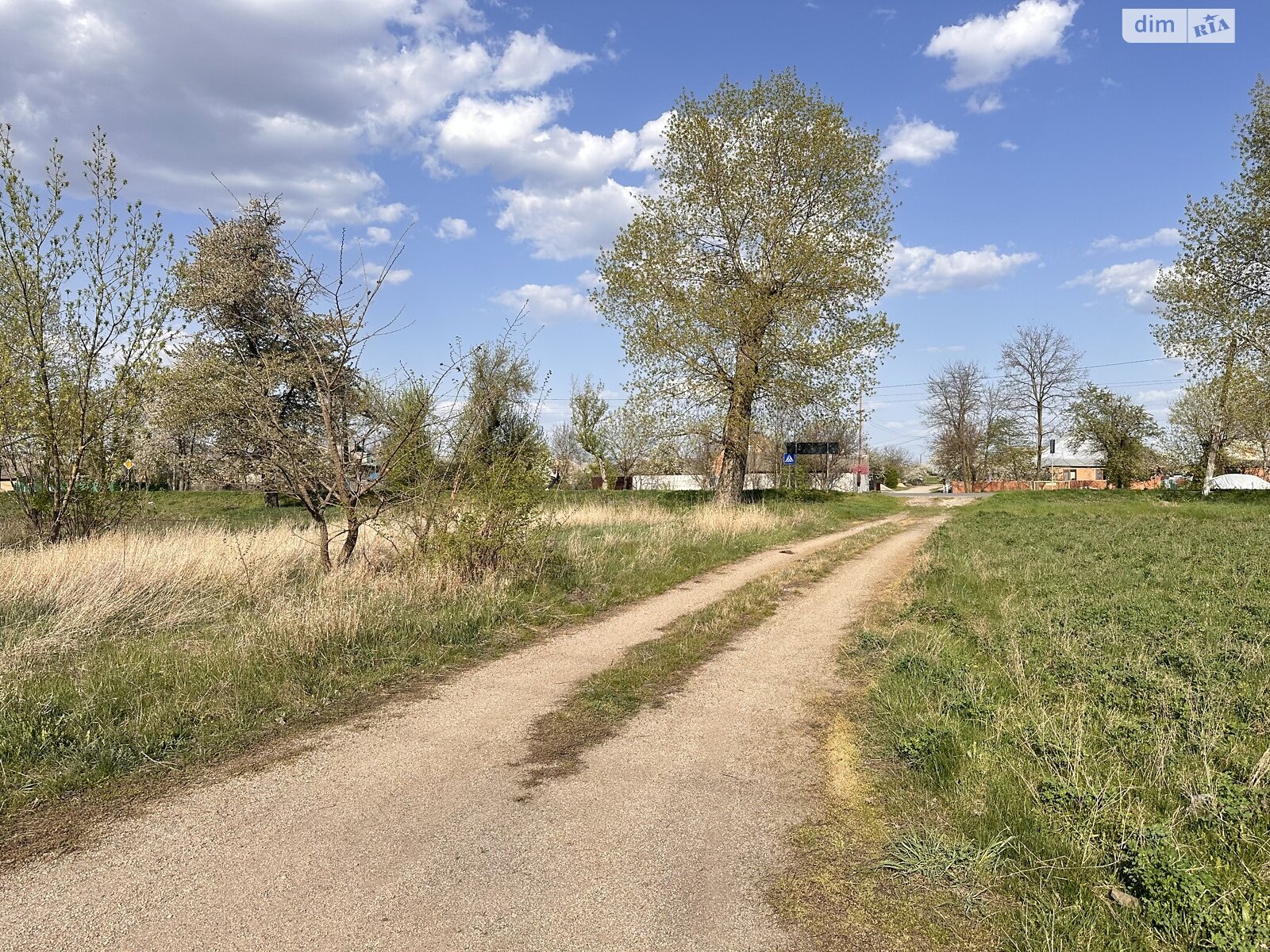одноповерховий будинок з опаленням, 222 кв. м, цегла. Продаж у Новій Прилуці фото 1 одноповерховий будинок з опаленням, 222 кв. м, цегла. Продаж у Новій Прилуці фото 1