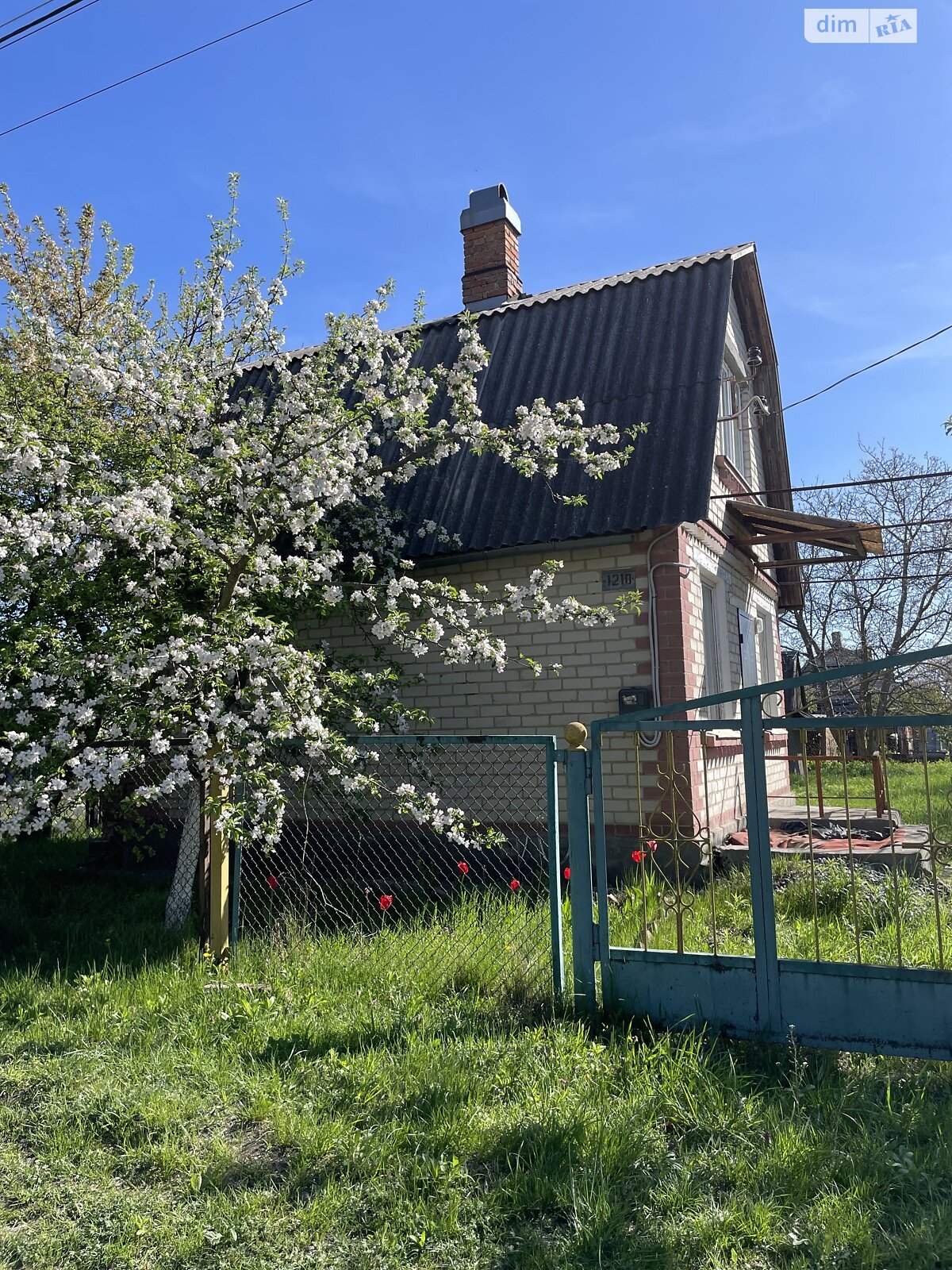 двухэтажный дом с отоплением, 50 кв. м, кирпич. Продажа в Новой Украинке фото 1 двухэтажный дом с отоплением, 50 кв. м, кирпич. Продажа в Новой Украинке фото 1