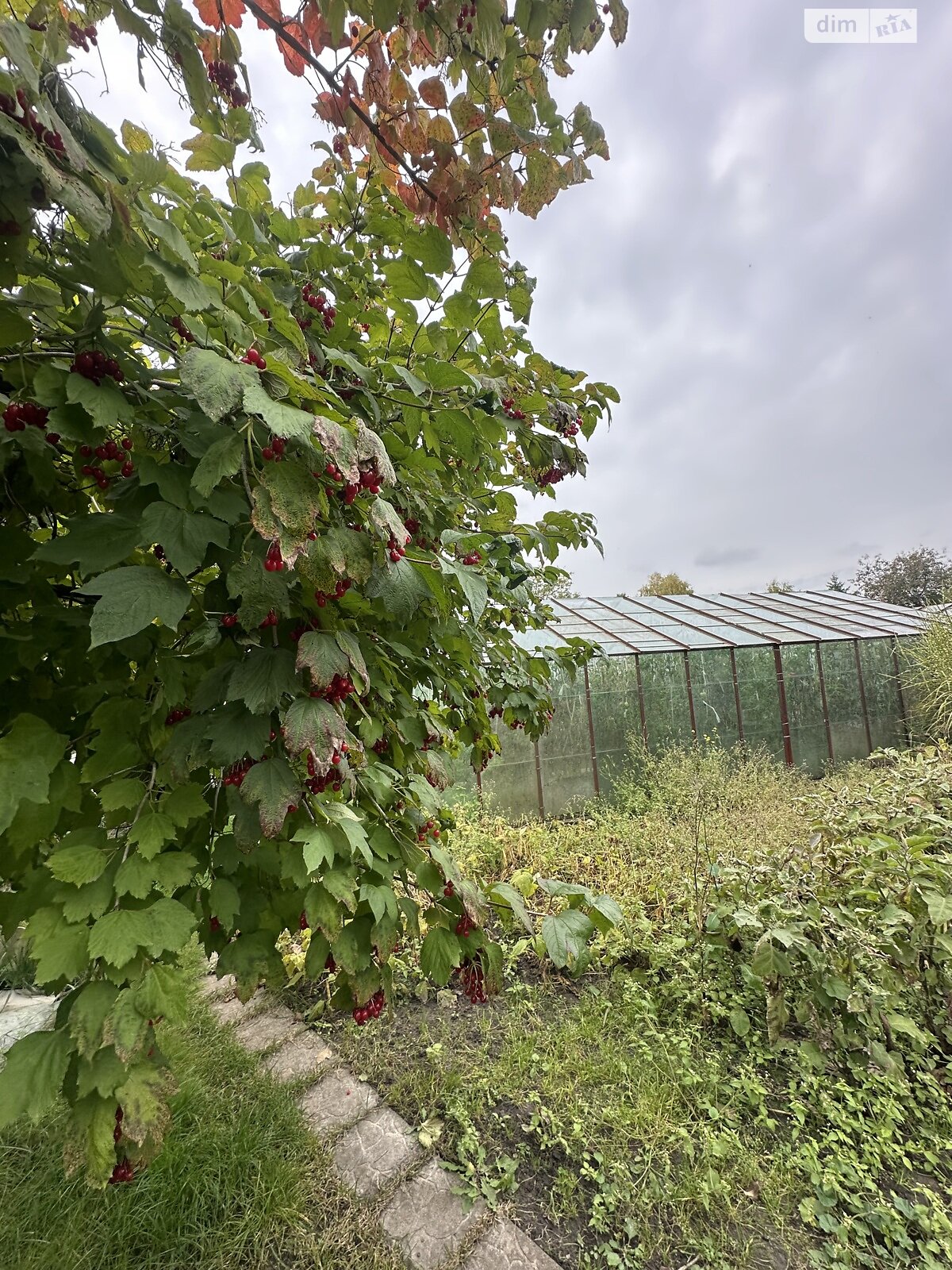 двухэтажный дом с верандой, 64.6 кв. м, кирпич. Продажа в Новой Украинке фото 1 двухэтажный дом с верандой, 64.6 кв. м, кирпич. Продажа в Новой Украинке фото 1