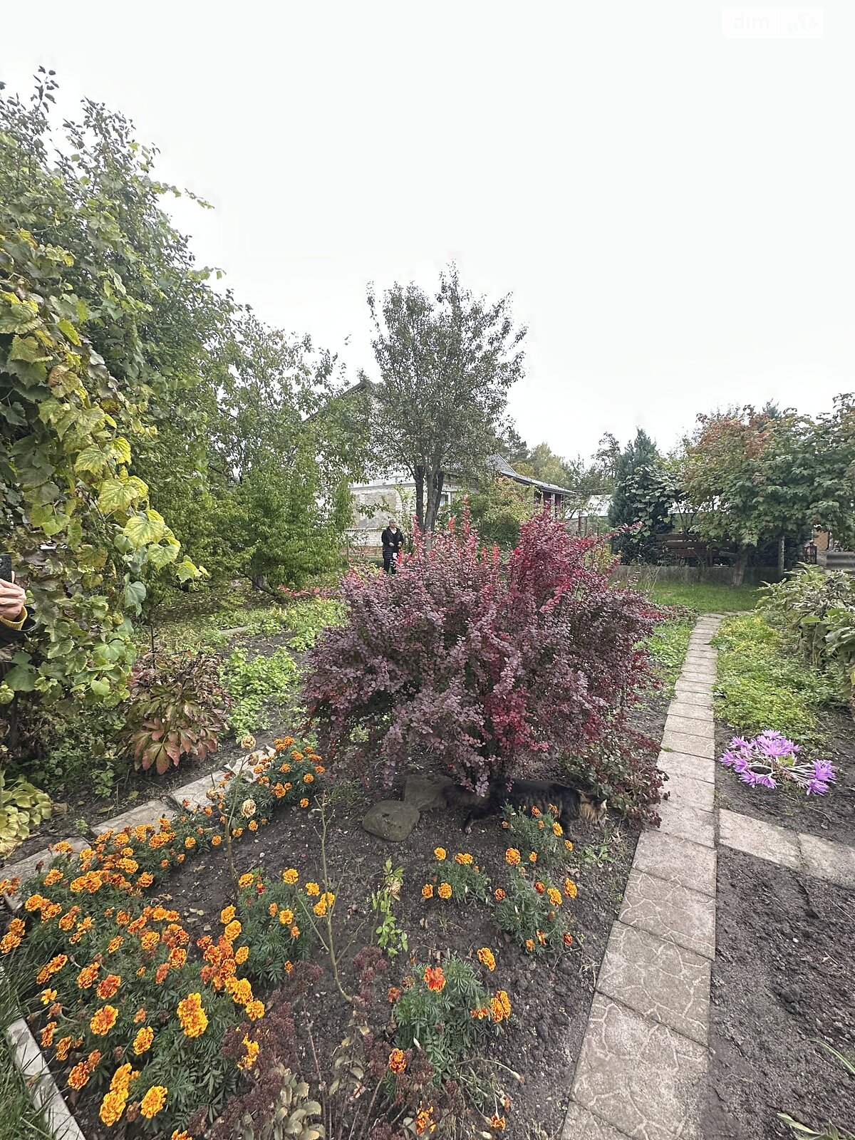 двухэтажный дом с верандой, 64.6 кв. м, кирпич. Продажа в Новой Украинке фото 1 двухэтажный дом с верандой, 64.6 кв. м, кирпич. Продажа в Новой Украинке фото 1