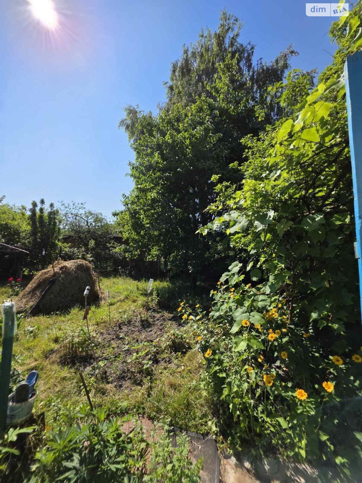 одноэтажный дом с отоплением, 49 кв. м, кирпич. Продажа в Новой Украинке фото 1