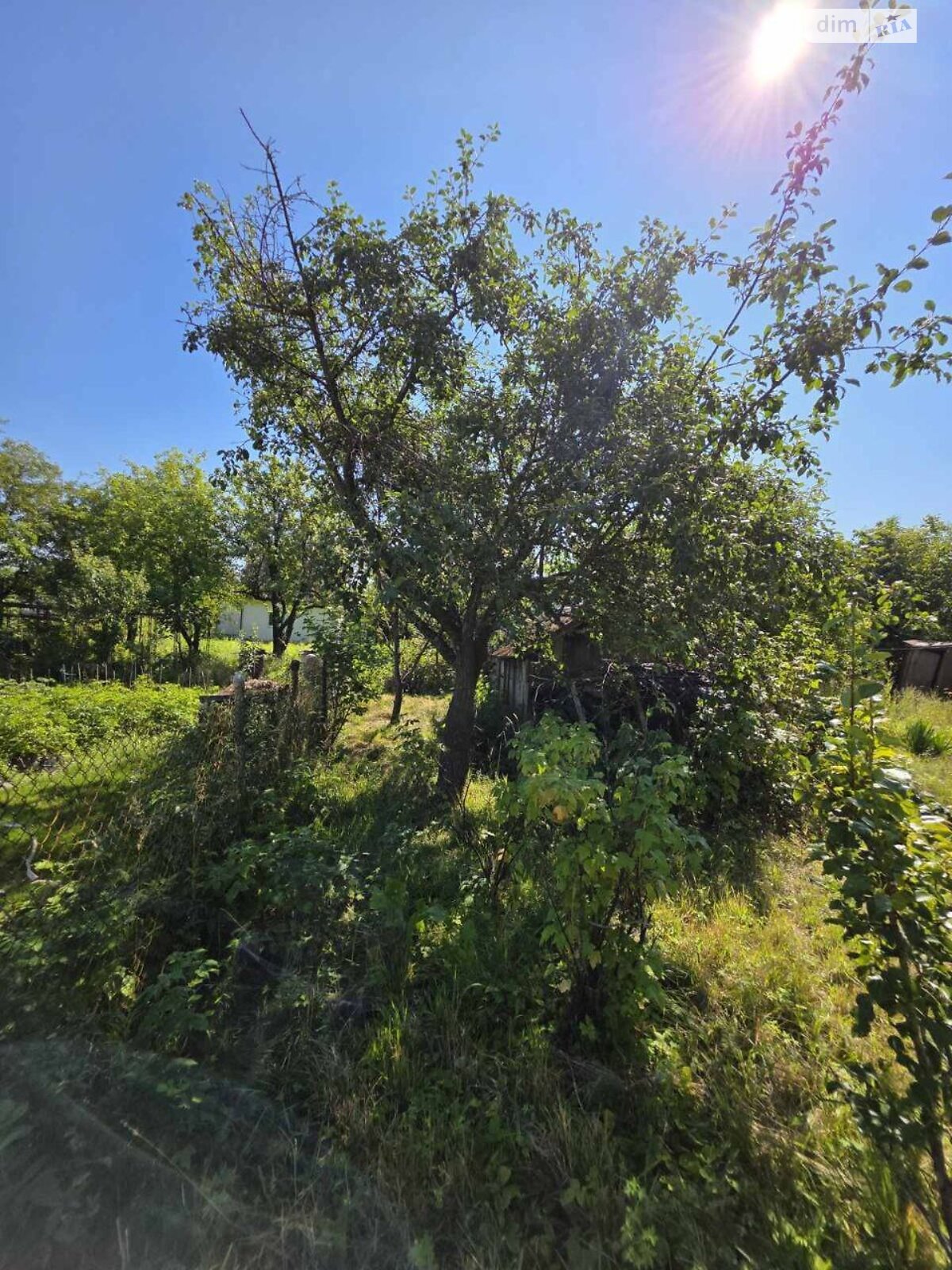 одноэтажный дом с отоплением, 49 кв. м, кирпич. Продажа в Новой Украинке фото 1